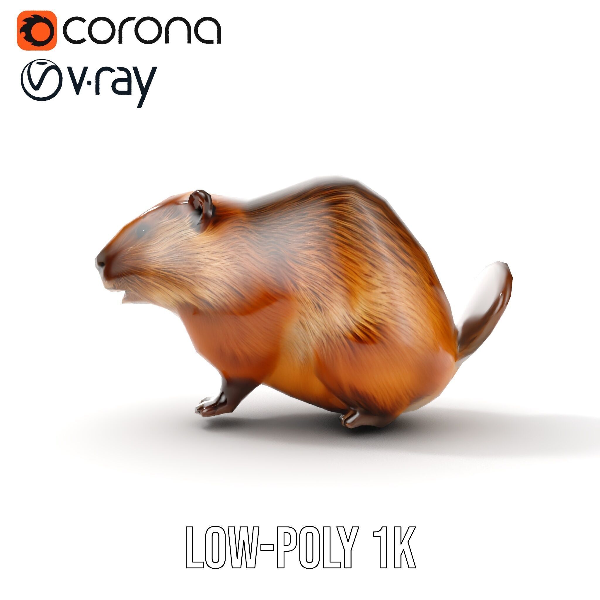 Beaver Model Pack with Detailed Fur Texture Low-poly 3D model_7