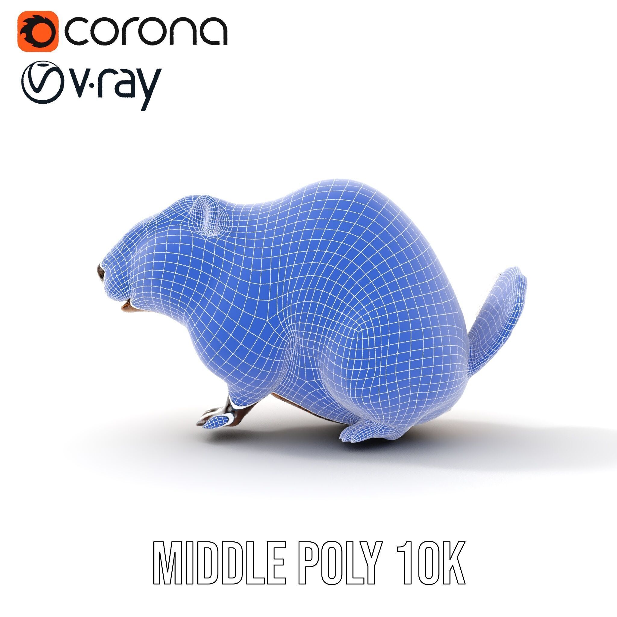 Beaver Model Pack with Detailed Fur Texture Low-poly 3D model_27