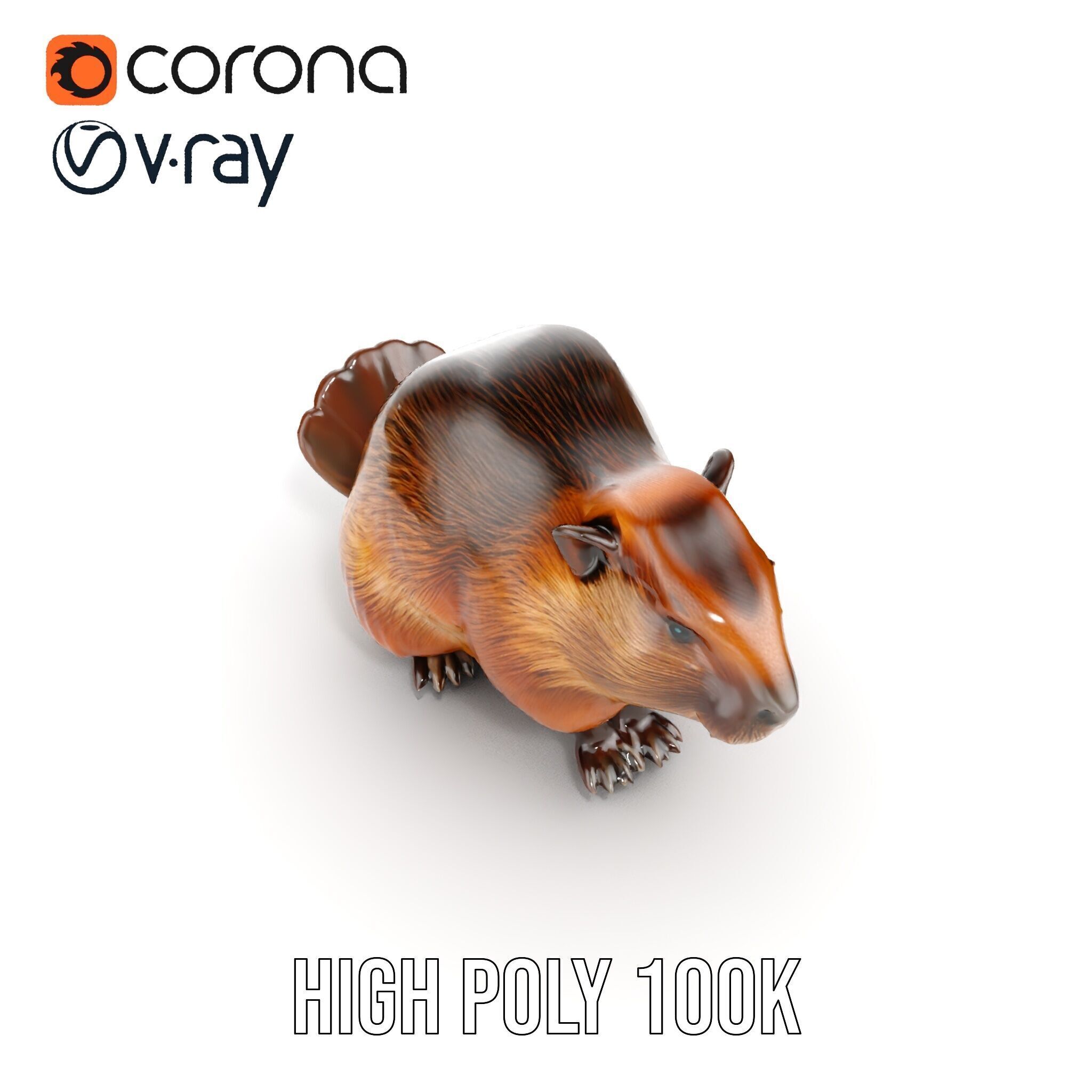 Beaver Model Pack with Detailed Fur Texture Low-poly 3D model_32