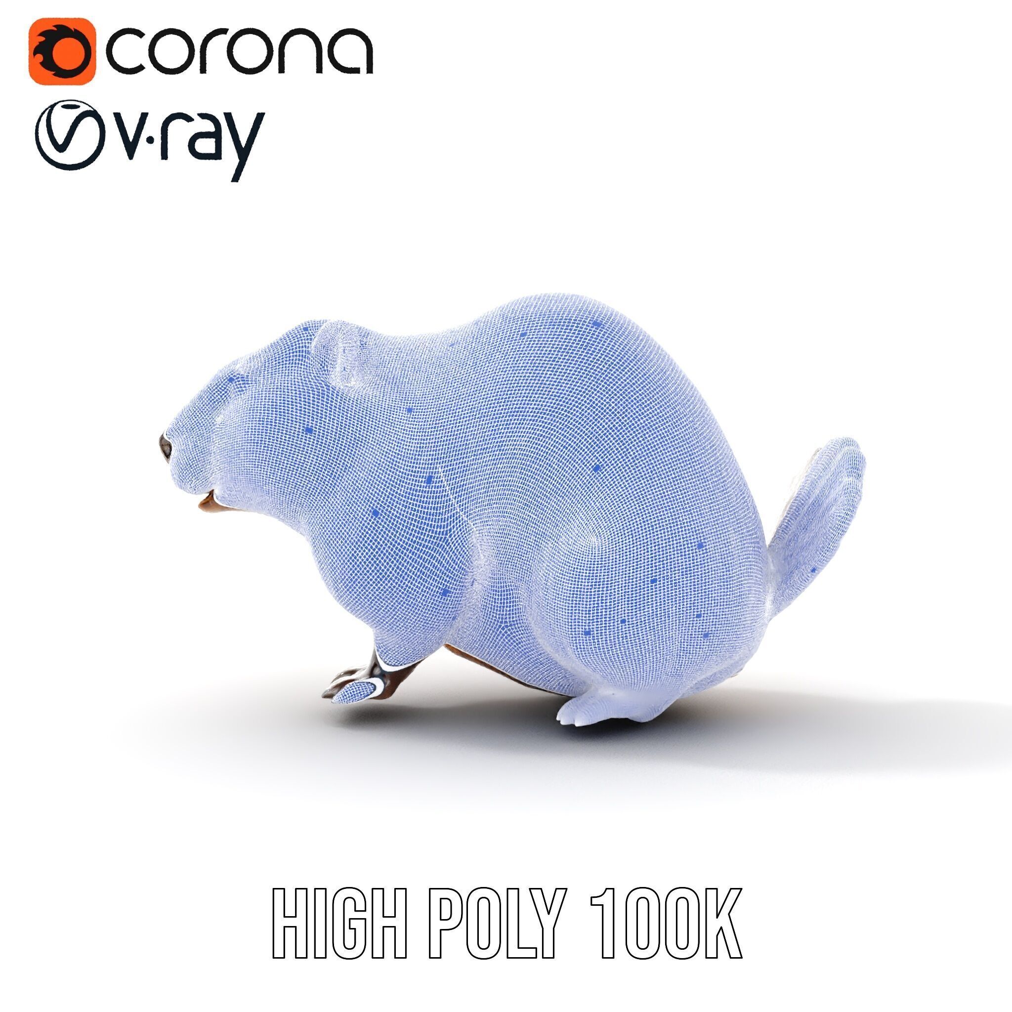 Beaver Model Pack with Detailed Fur Texture Low-poly 3D model_38