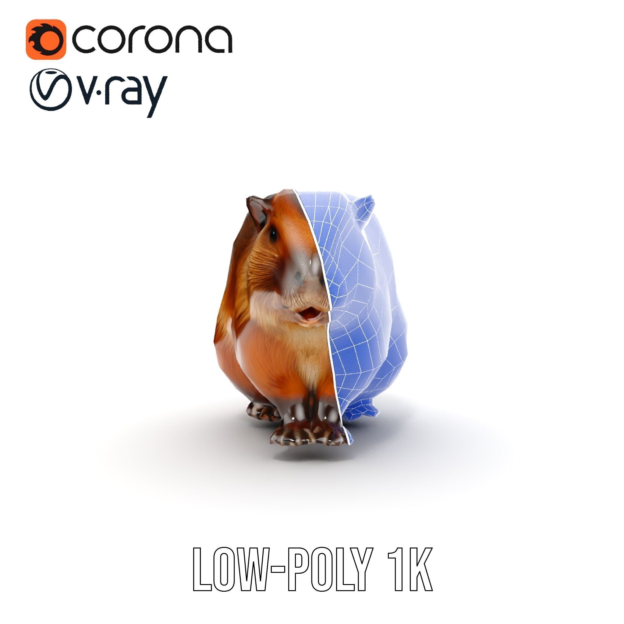 Beaver Model Pack with Detailed Fur Texture Low-poly 3D model_25