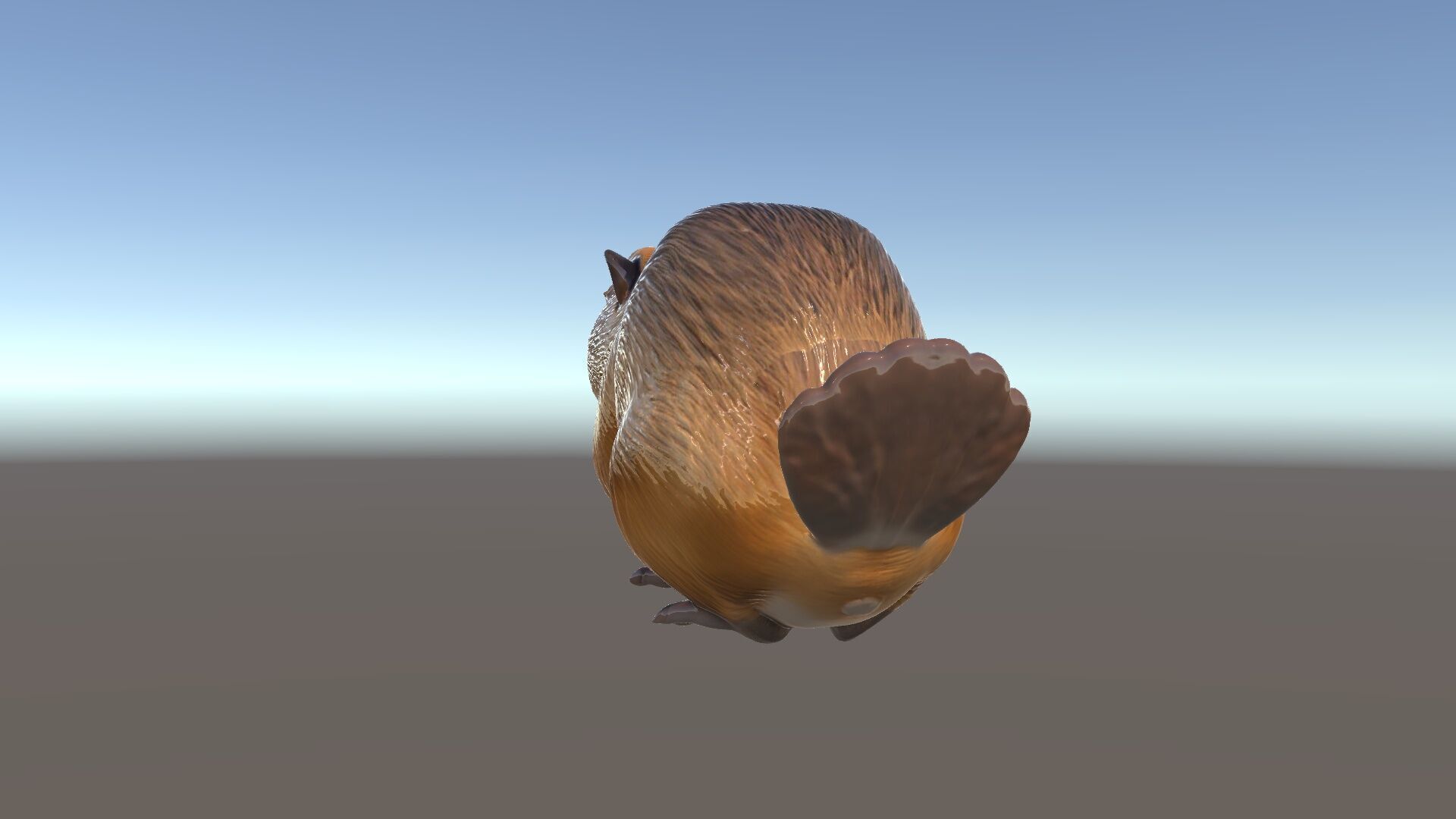 Beaver Model Pack with Detailed Fur Texture Low-poly 3D model_5