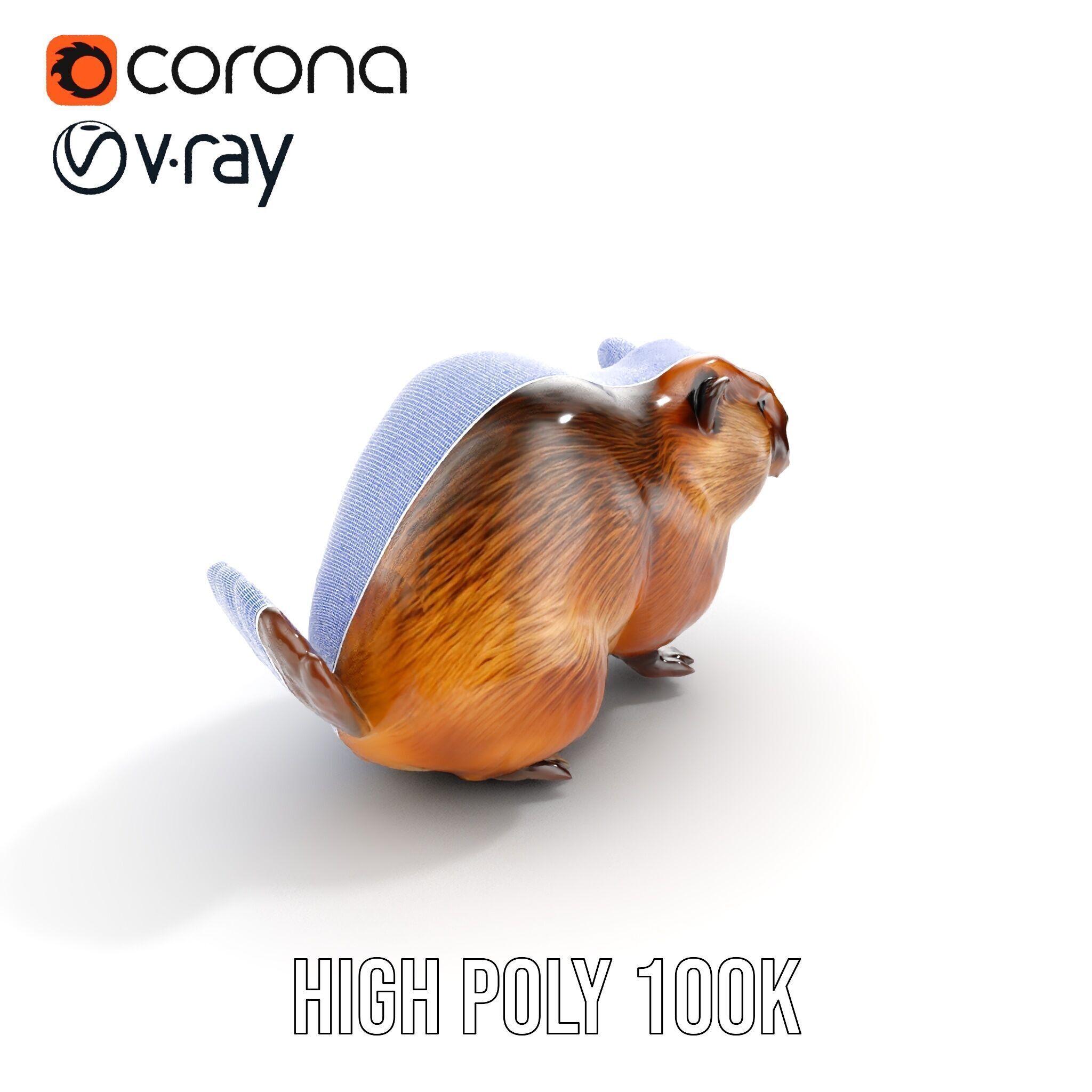 Beaver Model Pack with Detailed Fur Texture Low-poly 3D model_29