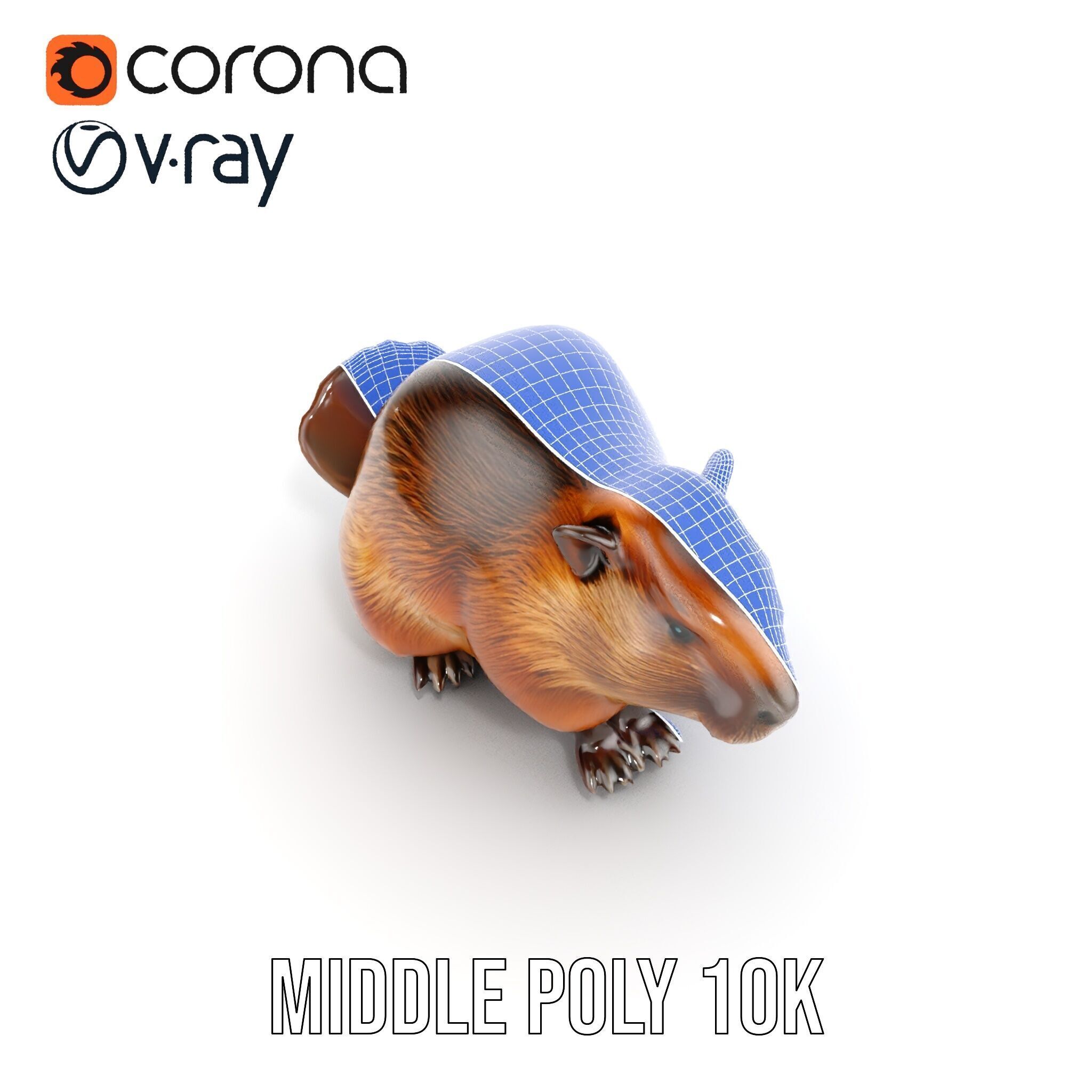 Beaver Model Pack with Detailed Fur Texture Low-poly 3D model_21