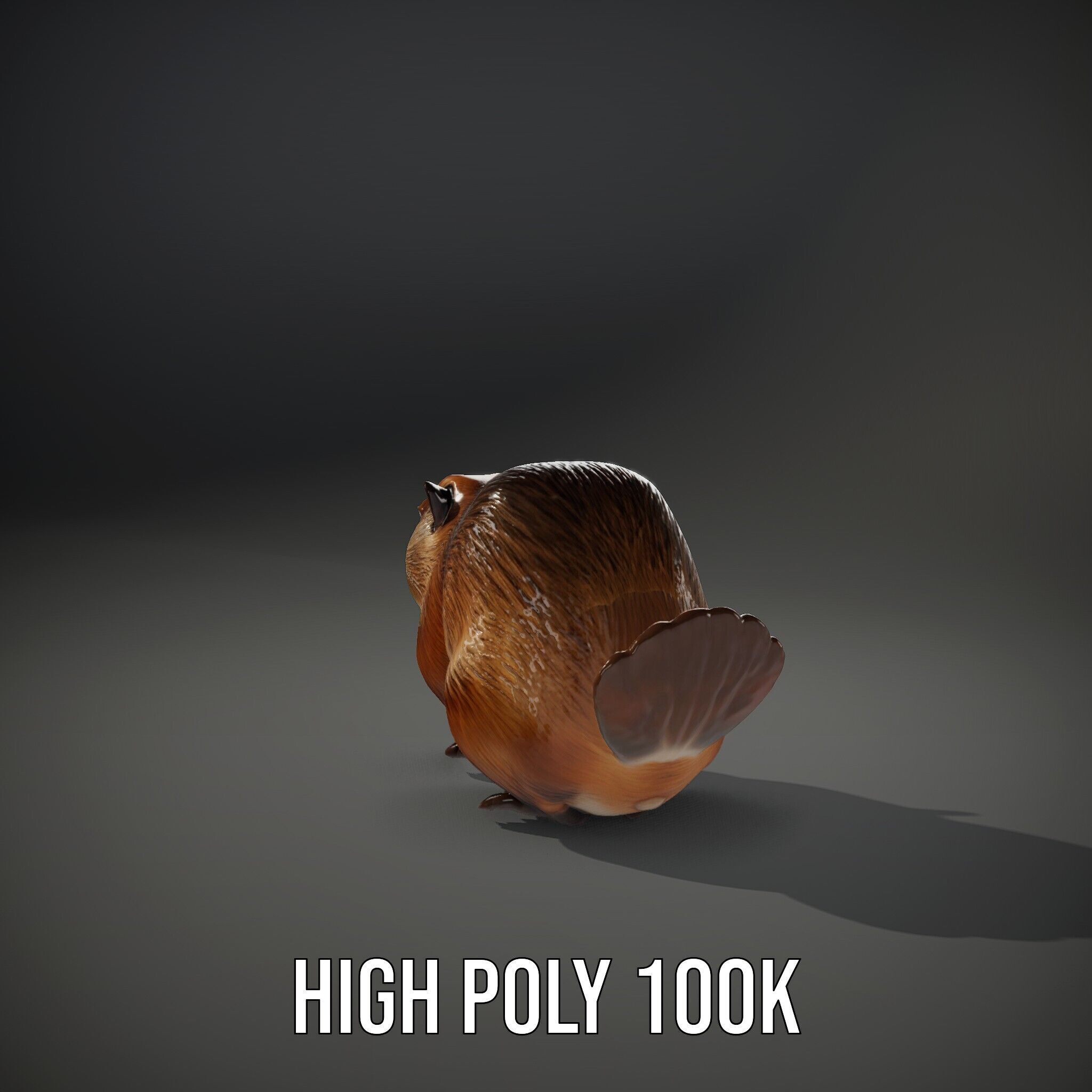 Beaver Model Pack with Detailed Fur Texture Low-poly 3D model_14