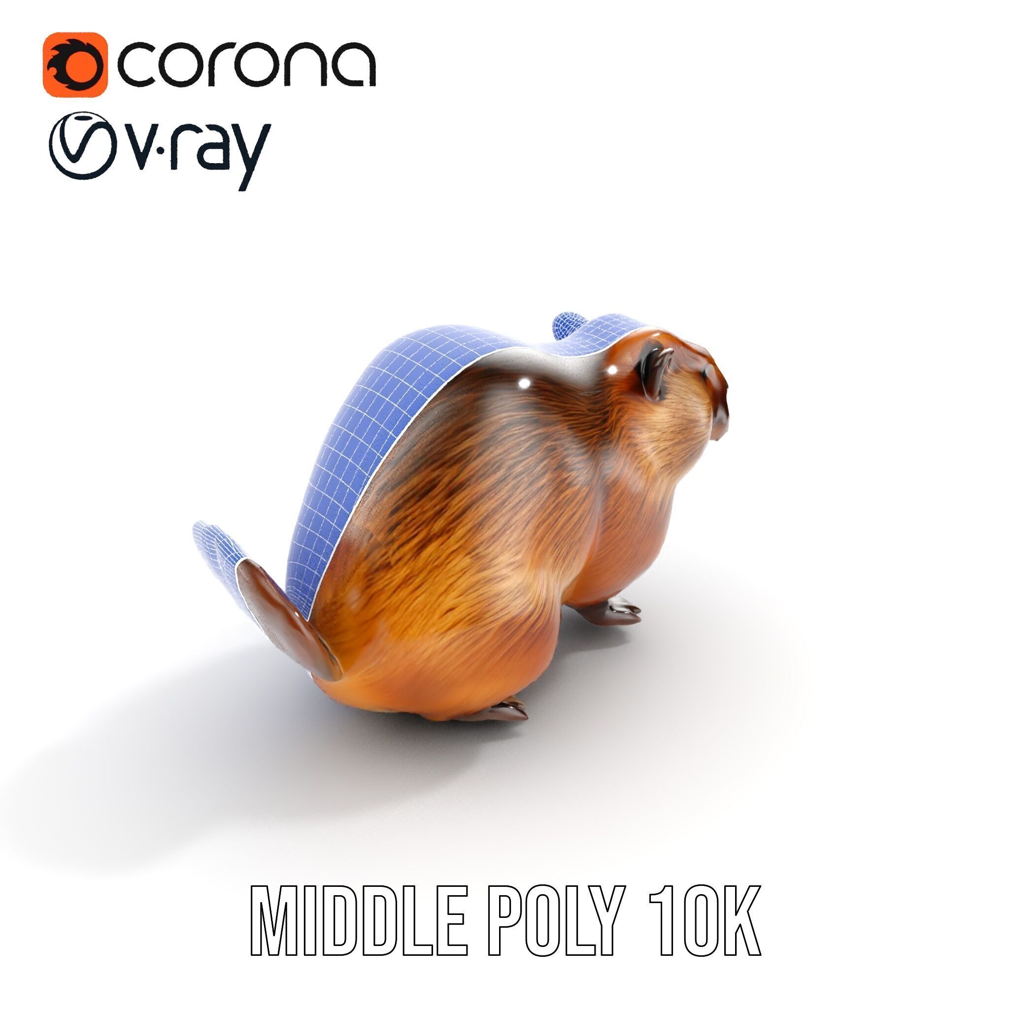Beaver Model Pack with Detailed Fur Texture Low-poly 3D model_19
