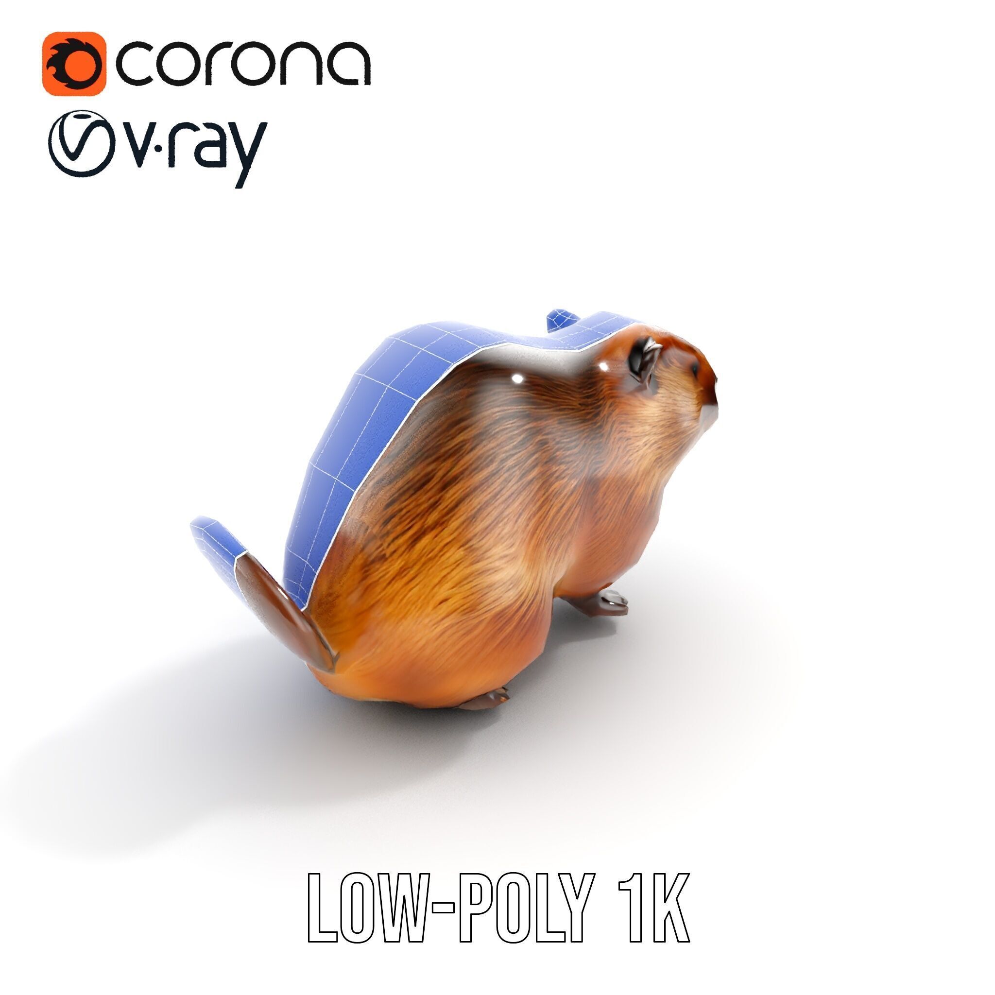 Beaver Model Pack with Detailed Fur Texture Low-poly 3D model_22