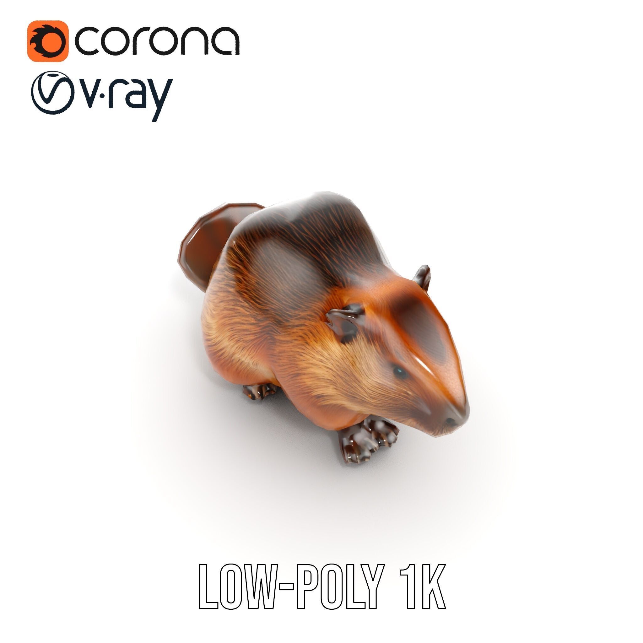 Beaver Model Pack with Detailed Fur Texture Low-poly 3D model_13
