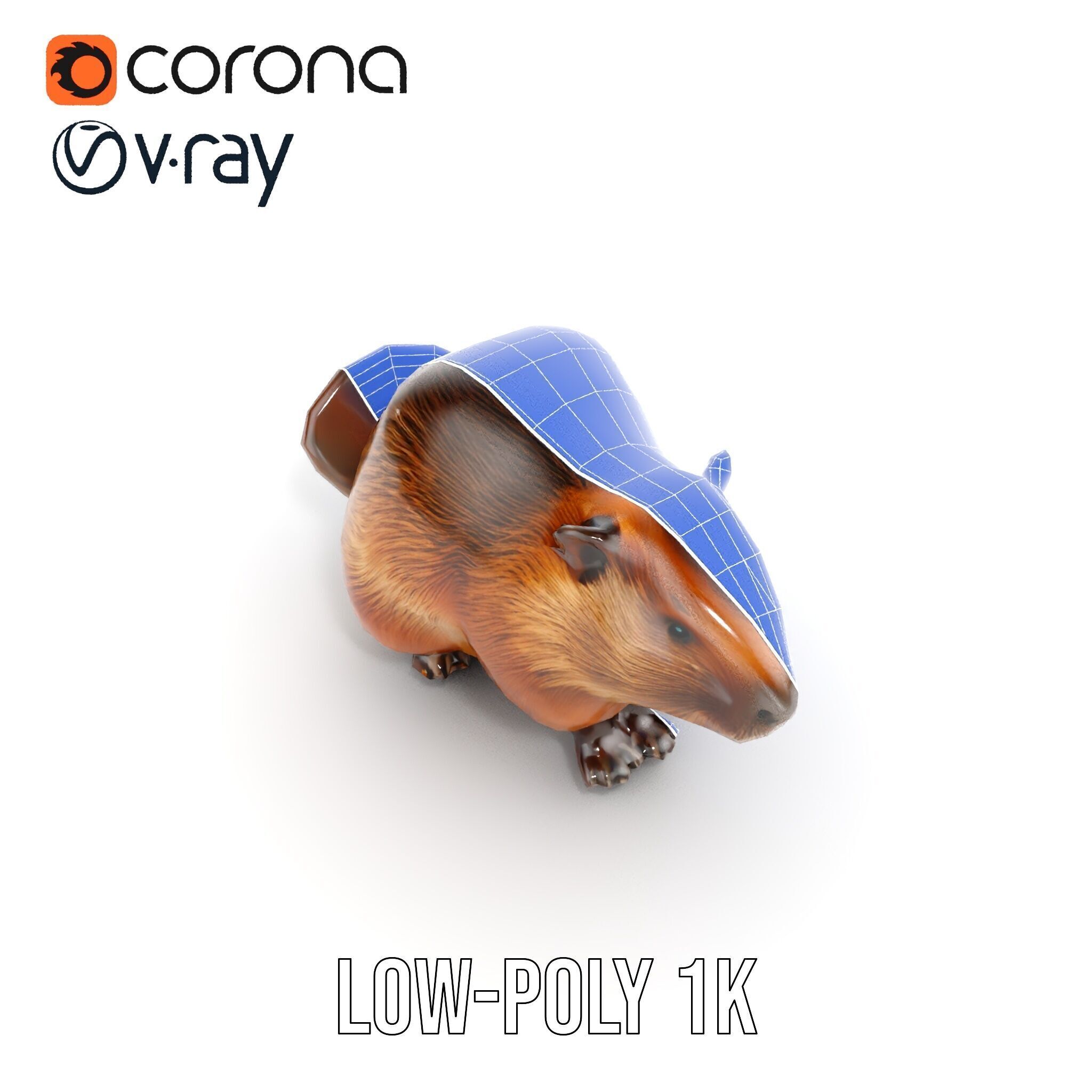 Beaver Model Pack with Detailed Fur Texture Low-poly 3D model_28