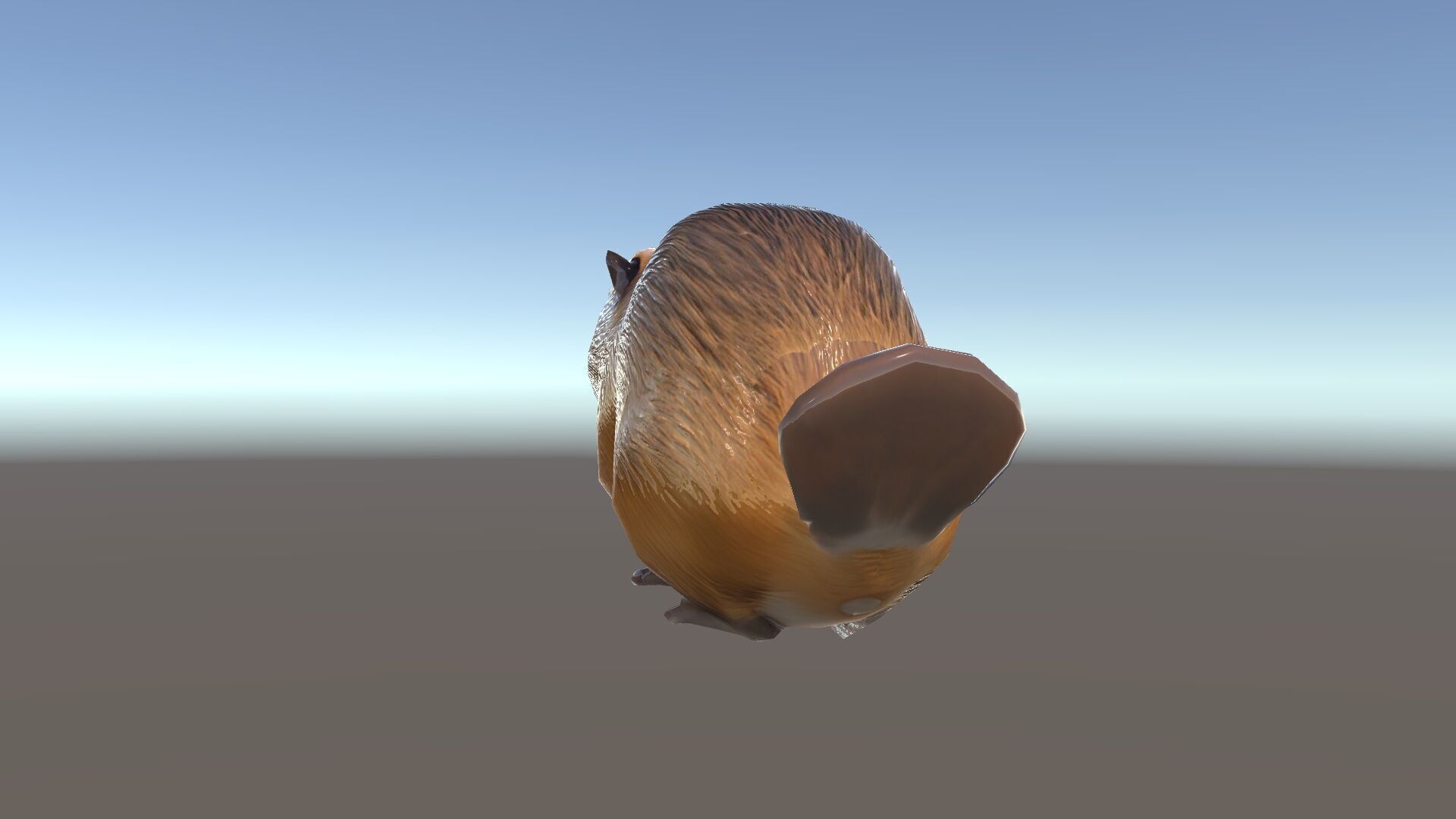 Beaver Model Pack with Detailed Fur Texture Low-poly 3D model_34