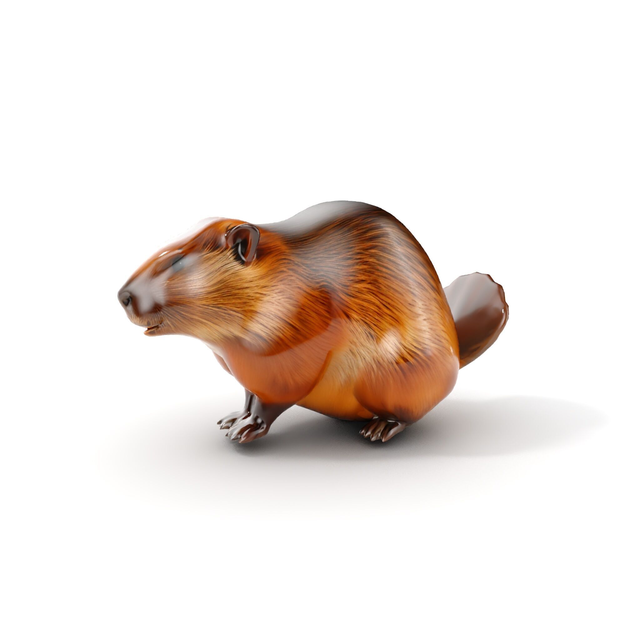 Beaver Model Pack with Detailed Fur Texture Low-poly 3D model_6