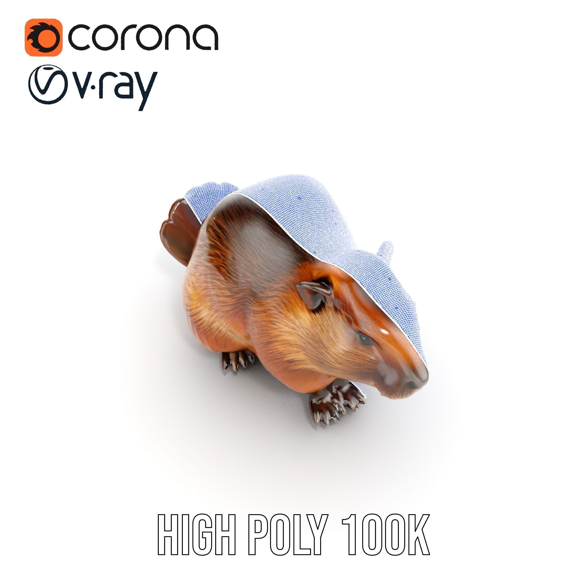 Beaver Model Pack with Detailed Fur Texture Low-poly 3D model_37