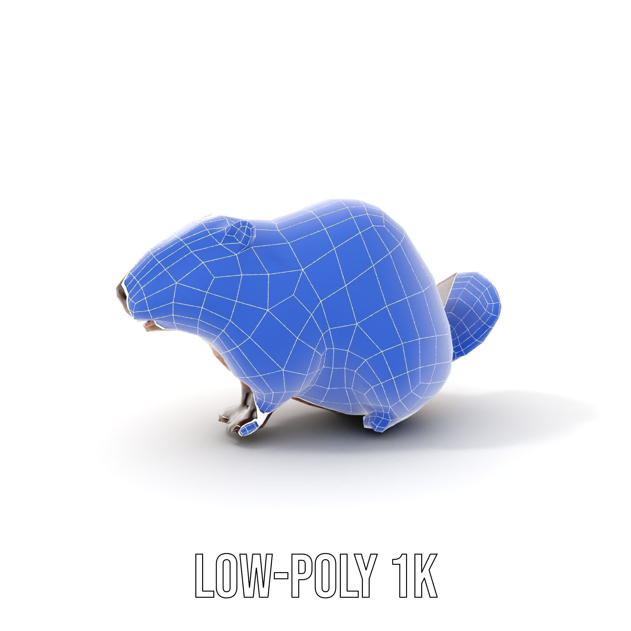 Beaver Model Pack with Detailed Fur Texture Low-poly 3D model_20
