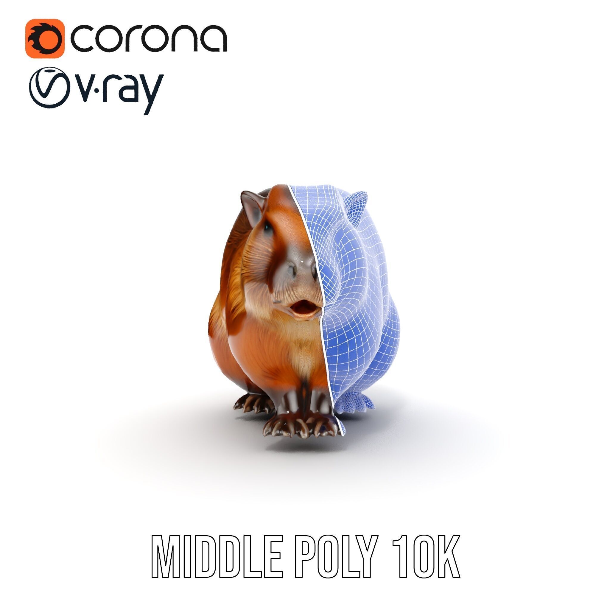 Beaver Model Pack with Detailed Fur Texture Low-poly 3D model_30