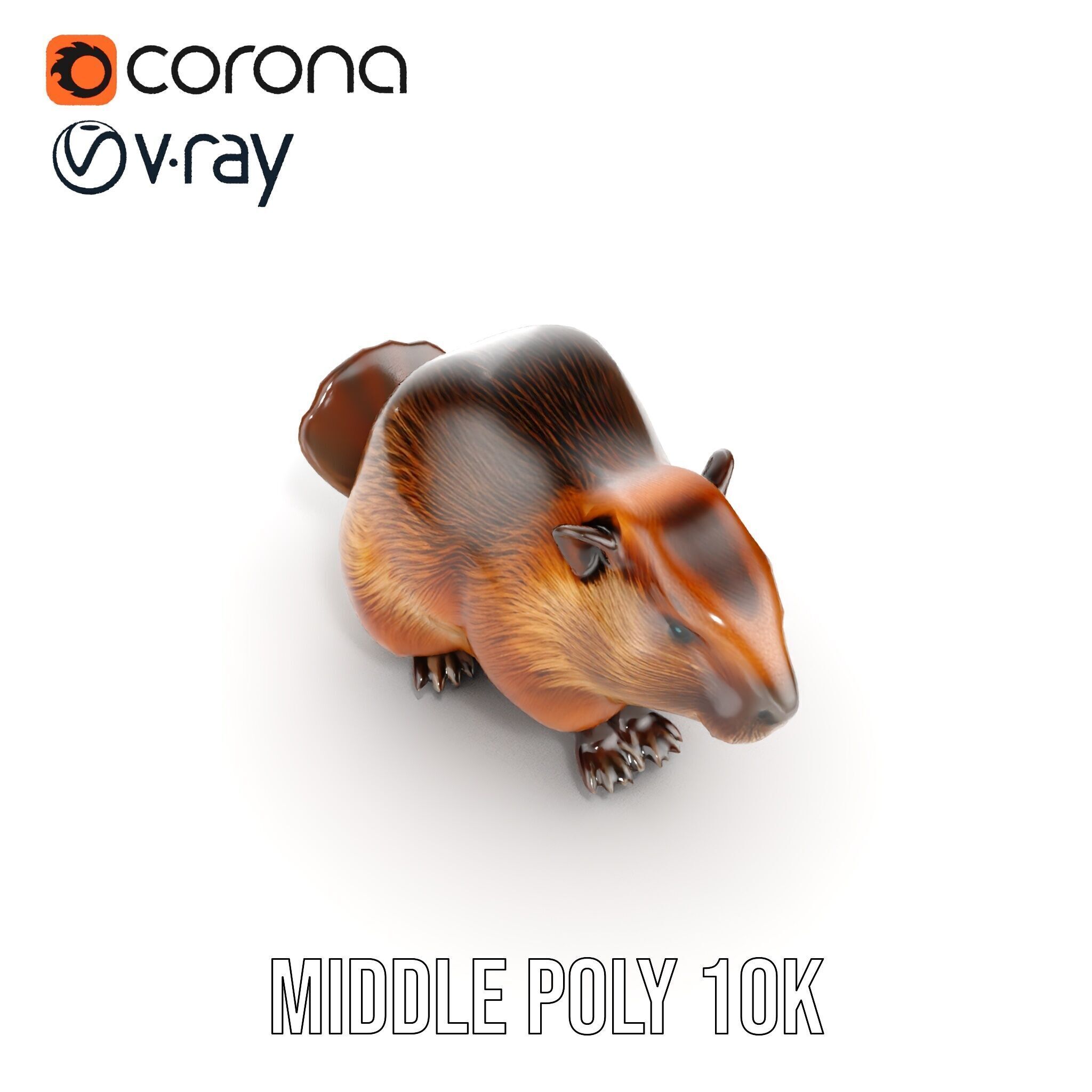 Beaver Model Pack with Detailed Fur Texture Low-poly 3D model_24