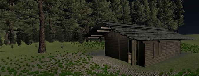 HOuse cabin in woods at night
