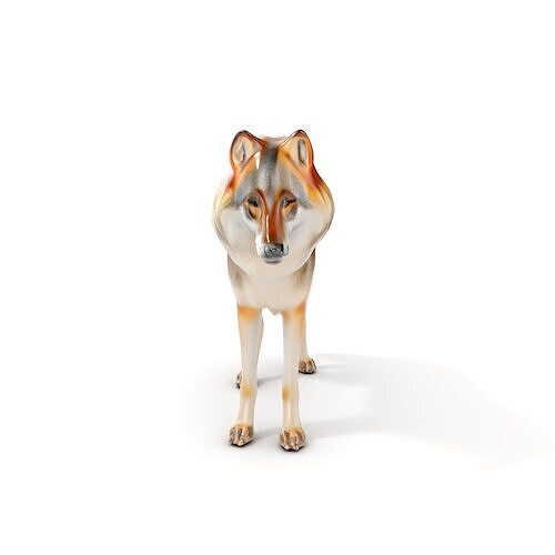 Realistic Wolf Model Pack with Versatile Detail Levels Low-poly 3D model