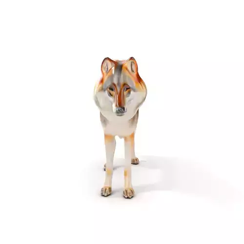 Realistic Wolf Model Pack with Versatile Detail Levels Low-poly 3D model