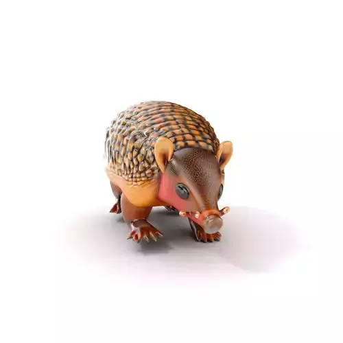 Armadillo Model Pack for D Rendering and Game Development Low-poly 3D model
