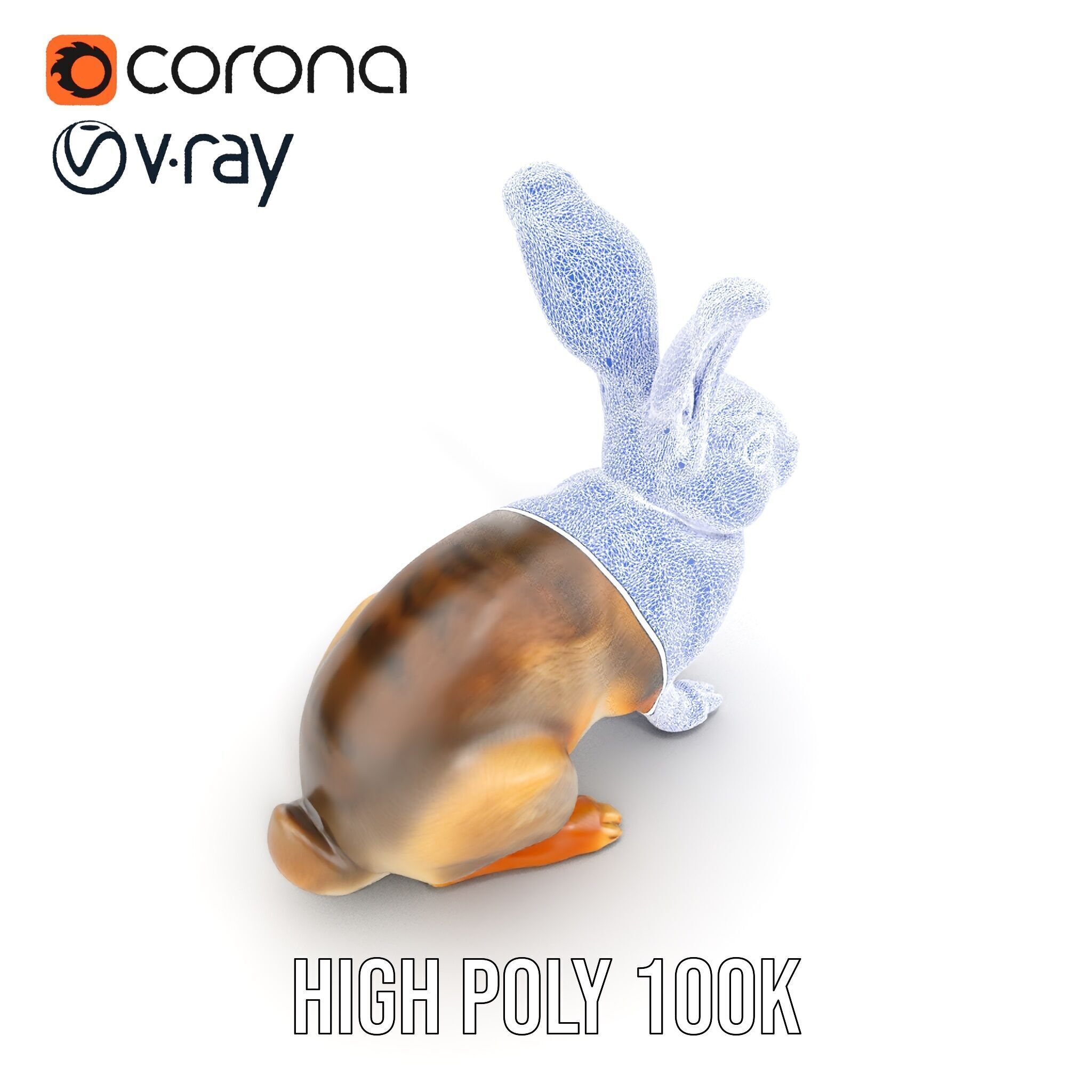 Realistic Rabbit Model Pack for D Rendering and Animation Low-poly 3D model_28