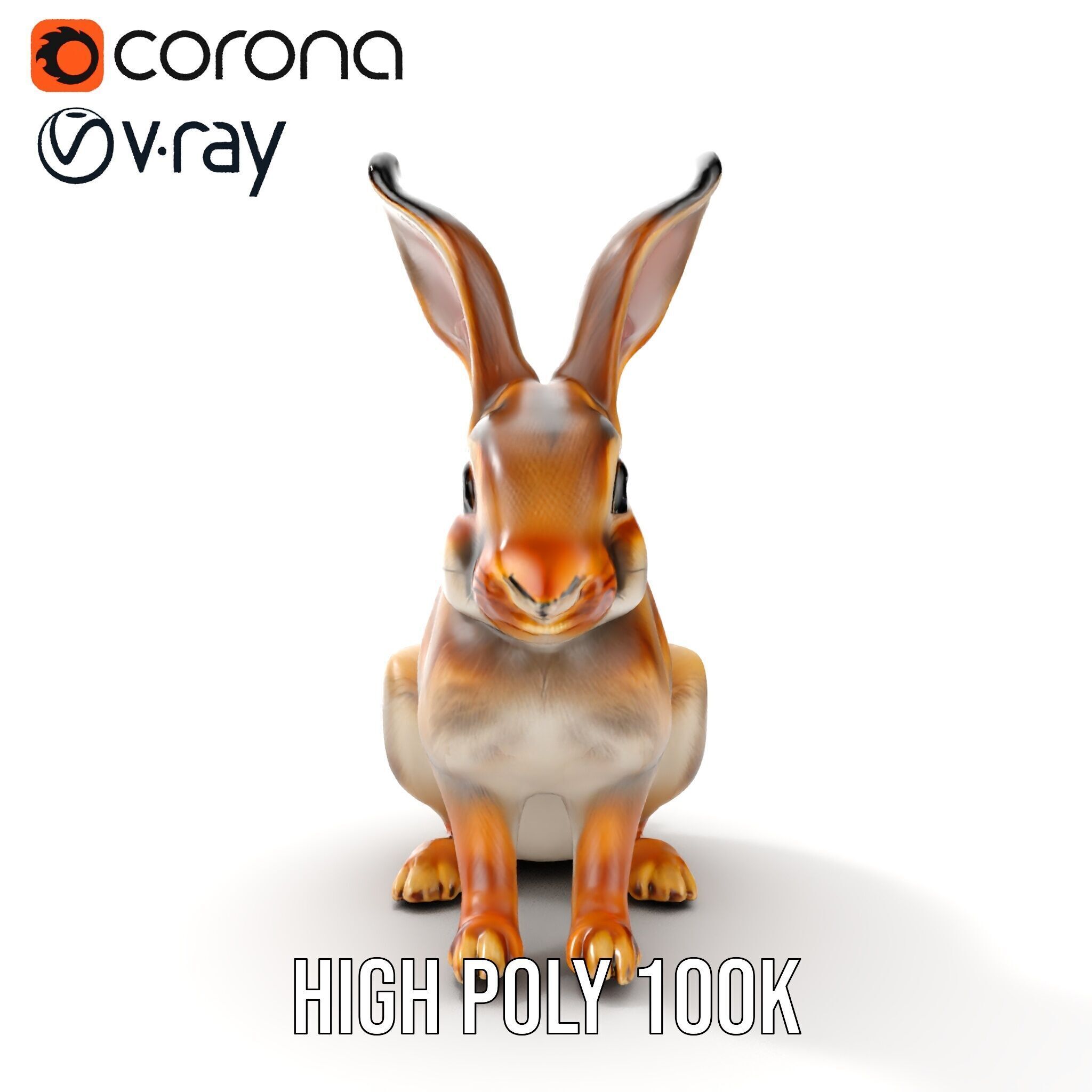 Realistic Rabbit Model Pack for D Rendering and Animation Low-poly 3D model_22