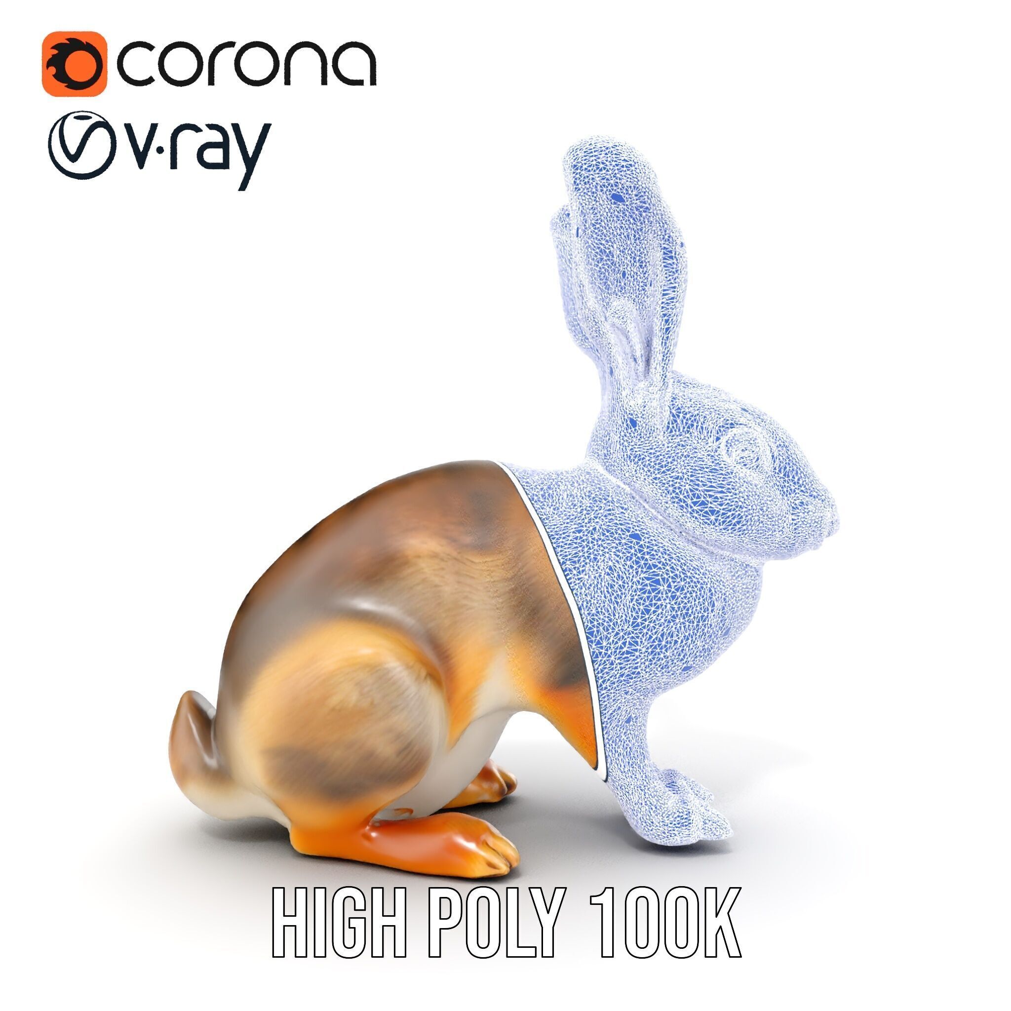 Realistic Rabbit Model Pack for D Rendering and Animation Low-poly 3D model_32