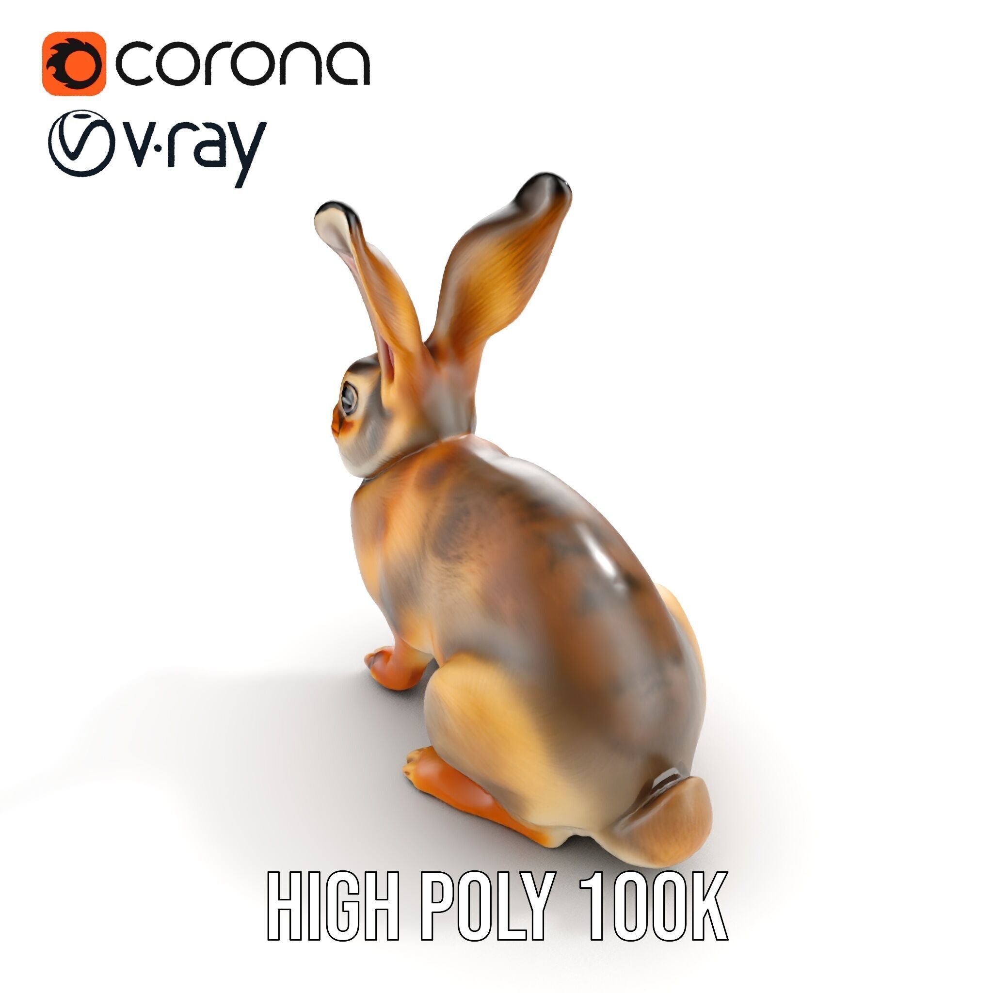 Realistic Rabbit Model Pack for D Rendering and Animation Low-poly 3D model_17