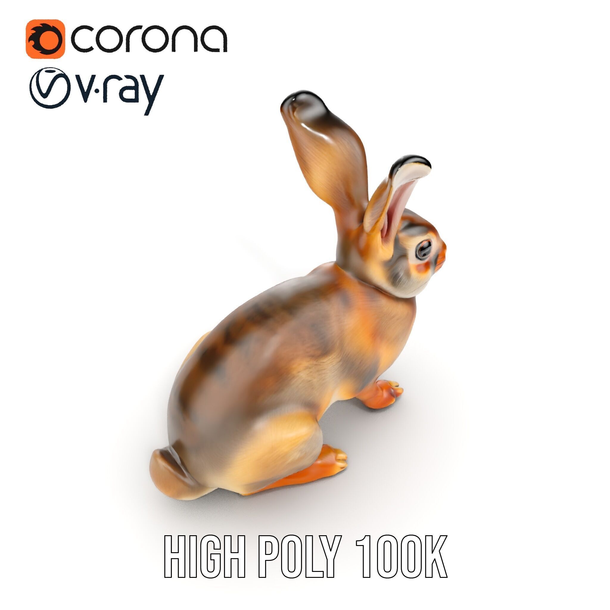Realistic Rabbit Model Pack for D Rendering and Animation Low-poly 3D model_30