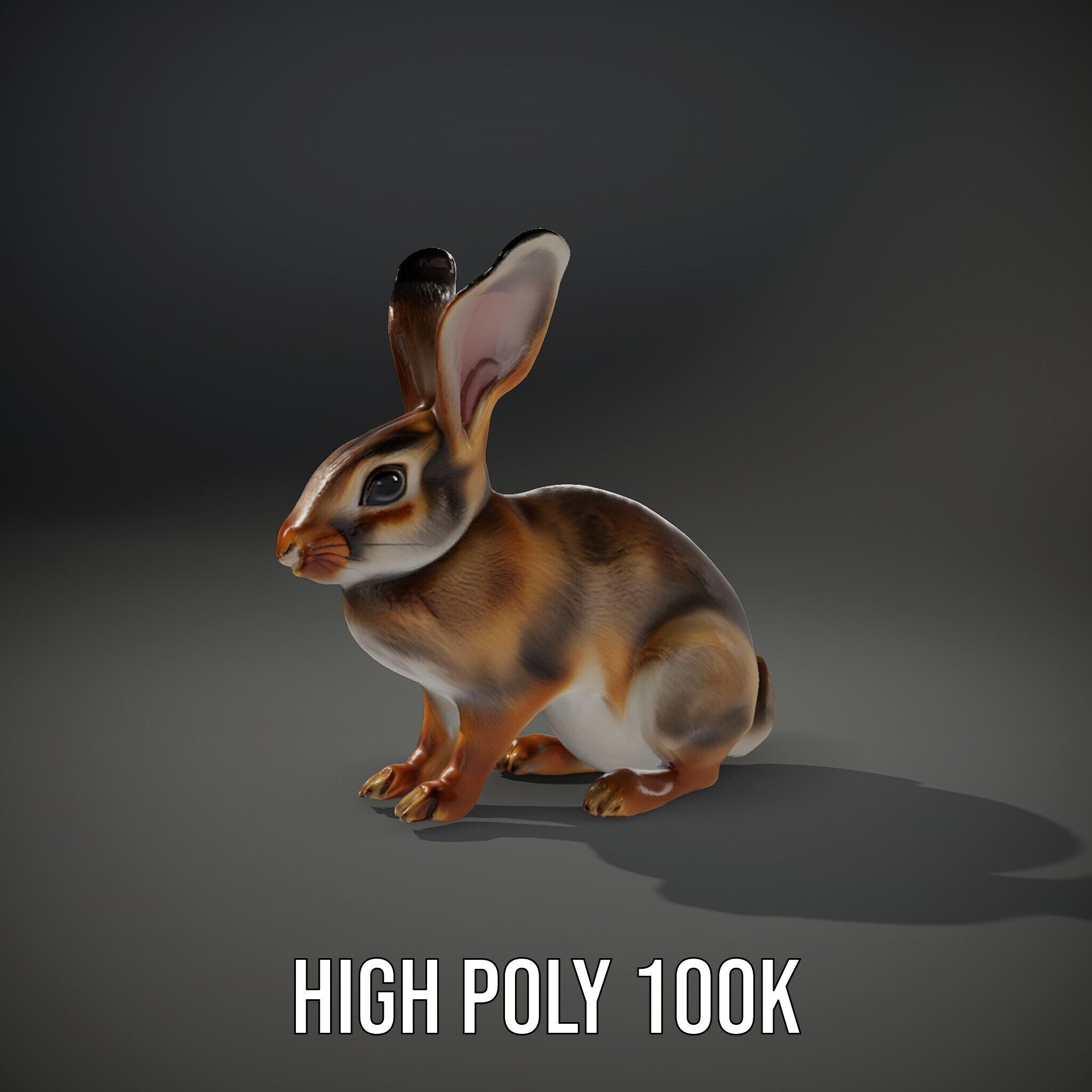 Realistic Rabbit Model Pack for D Rendering and Animation Low-poly 3D model_9