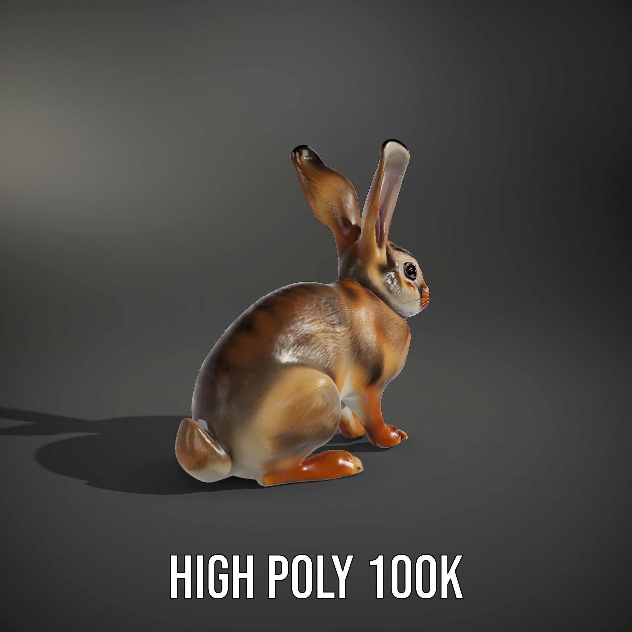 Realistic Rabbit Model Pack for D Rendering and Animation Low-poly 3D model_12