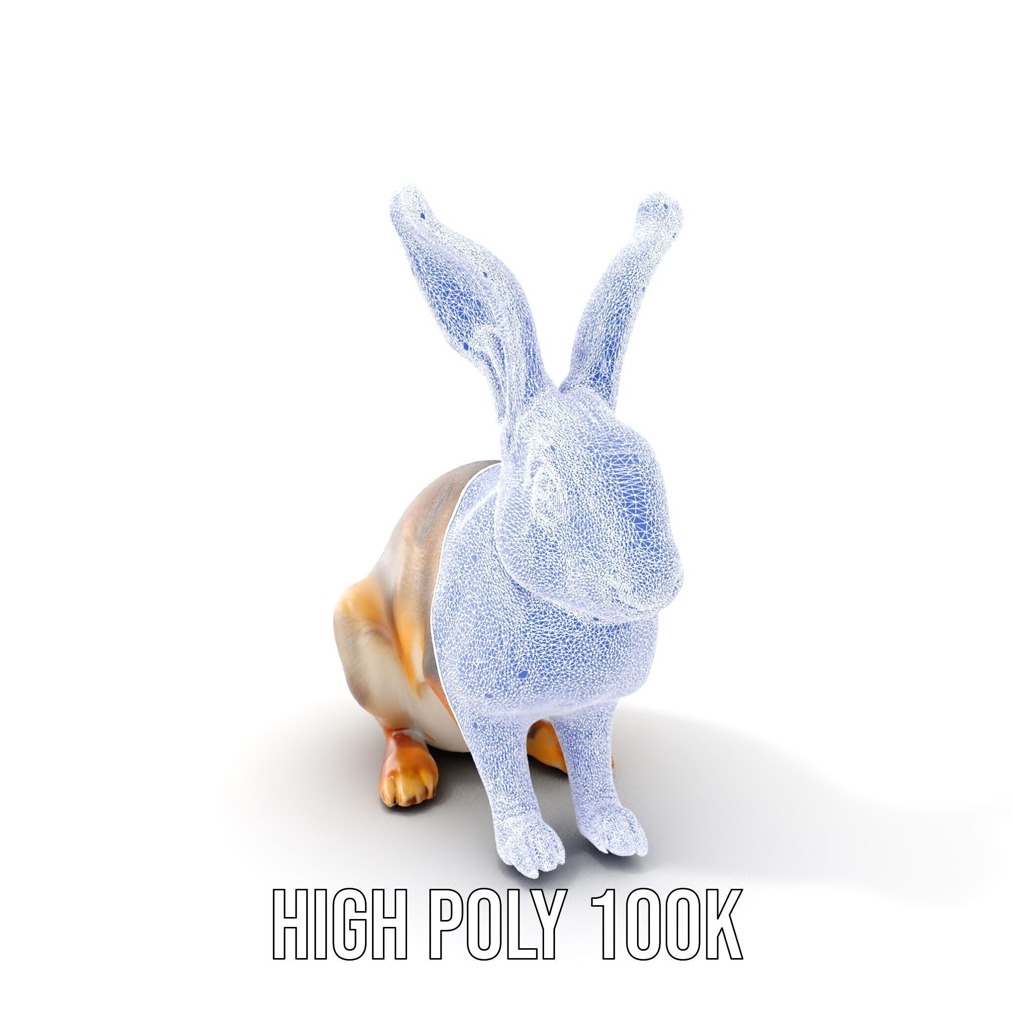 Realistic Rabbit Model Pack for D Rendering and Animation Low-poly 3D model_14