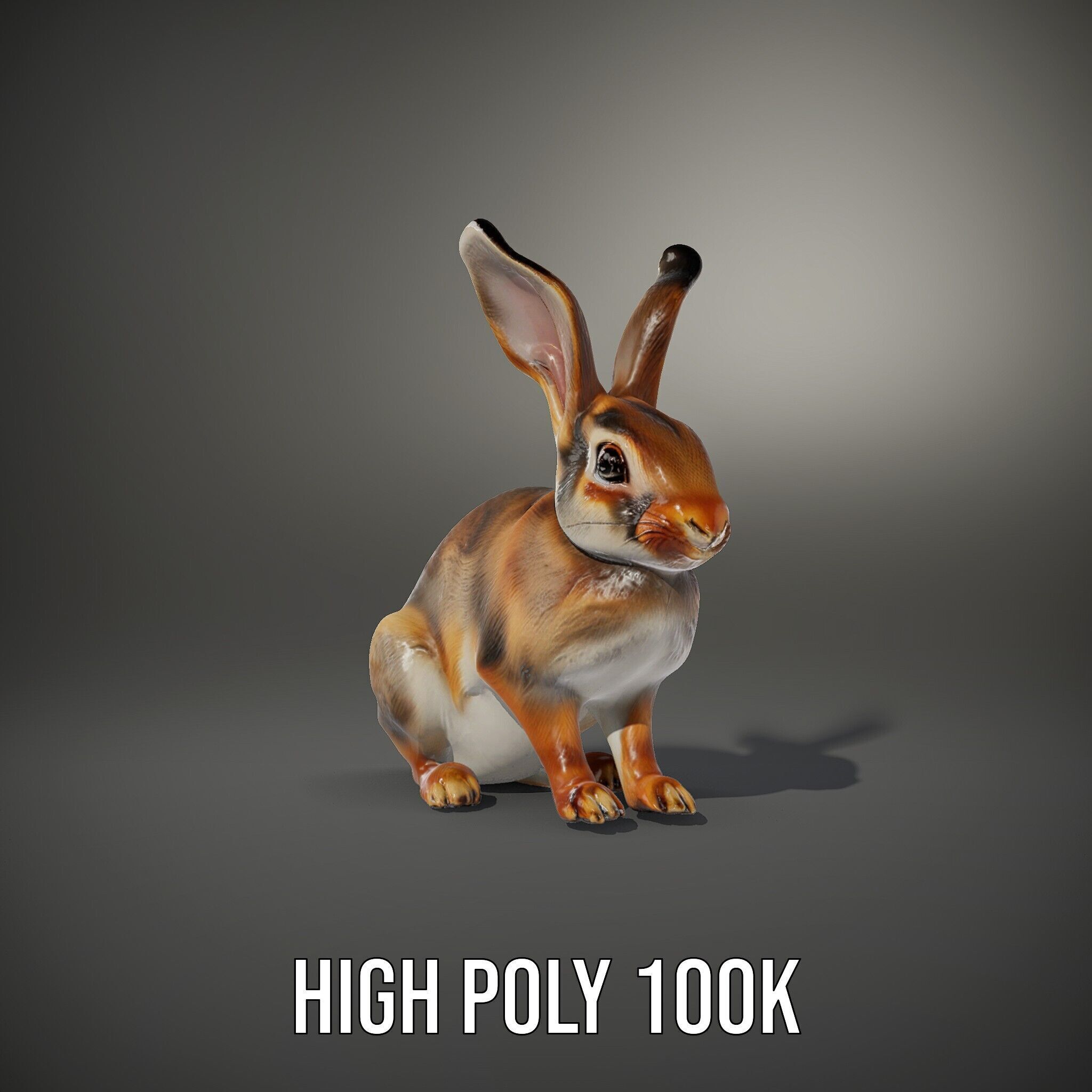 Realistic Rabbit Model Pack for D Rendering and Animation Low-poly 3D model_15