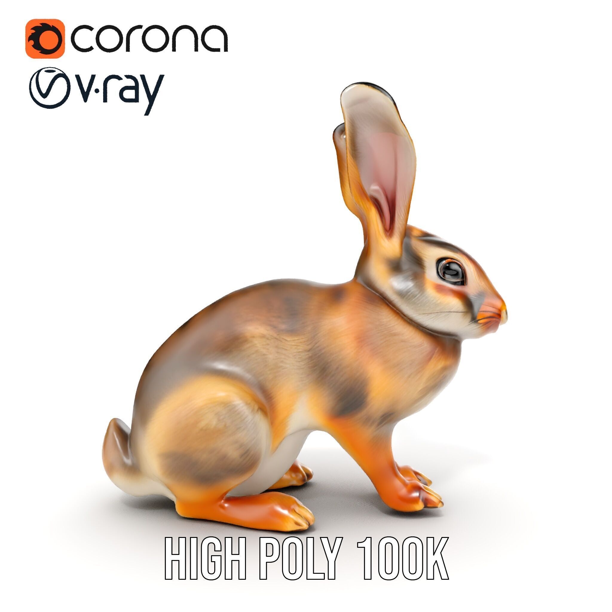 Realistic Rabbit Model Pack for D Rendering and Animation Low-poly 3D model_18