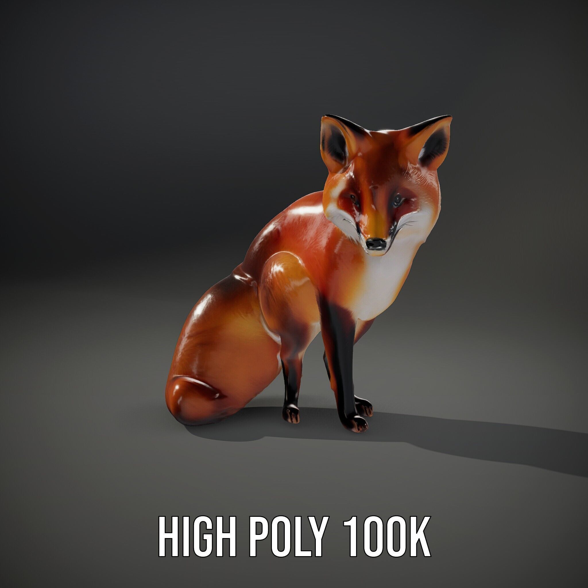 Fox Model Pack  High Detail D Animal Model Collection Low-poly 3D model_8