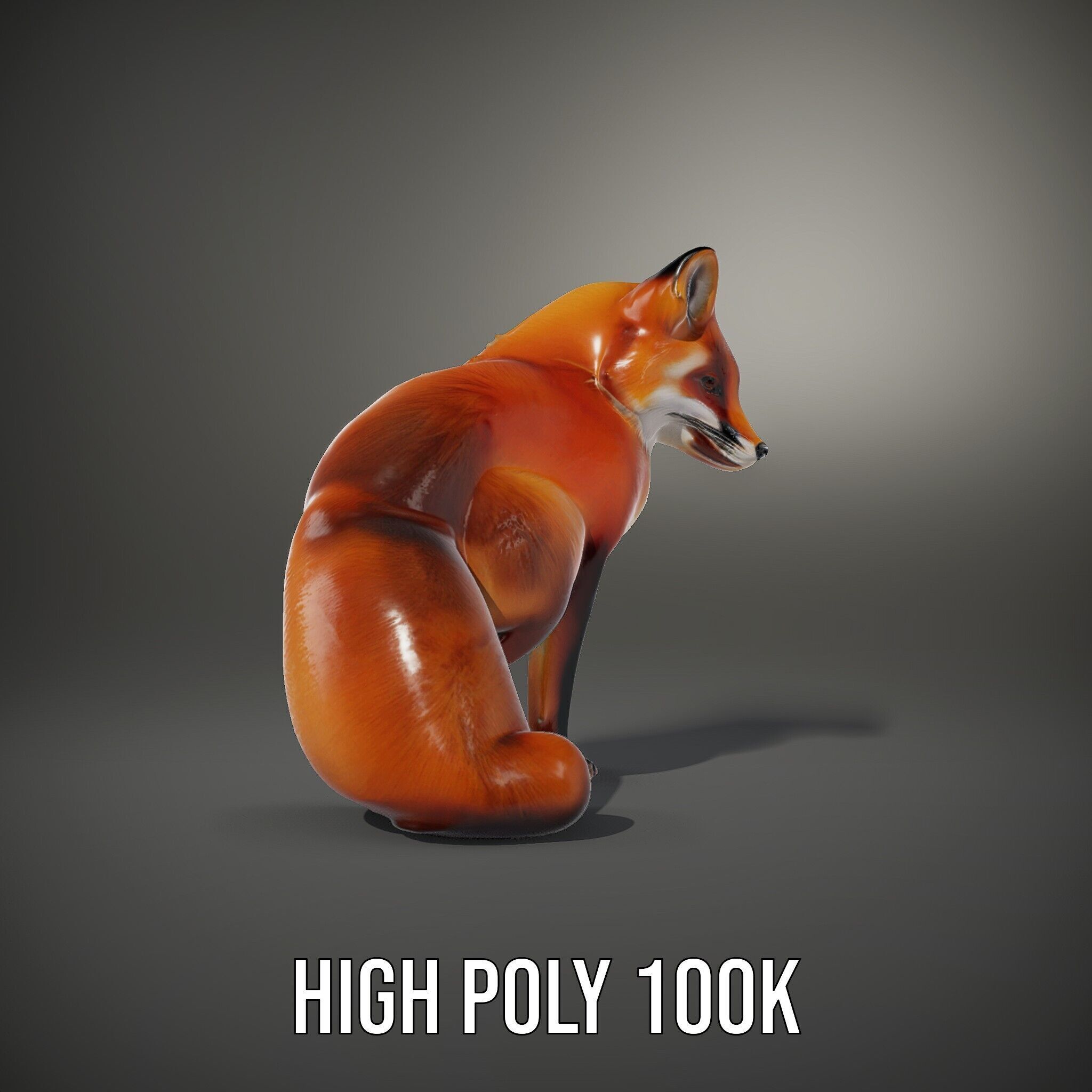 Fox Model Pack  High Detail D Animal Model Collection Low-poly 3D model_11