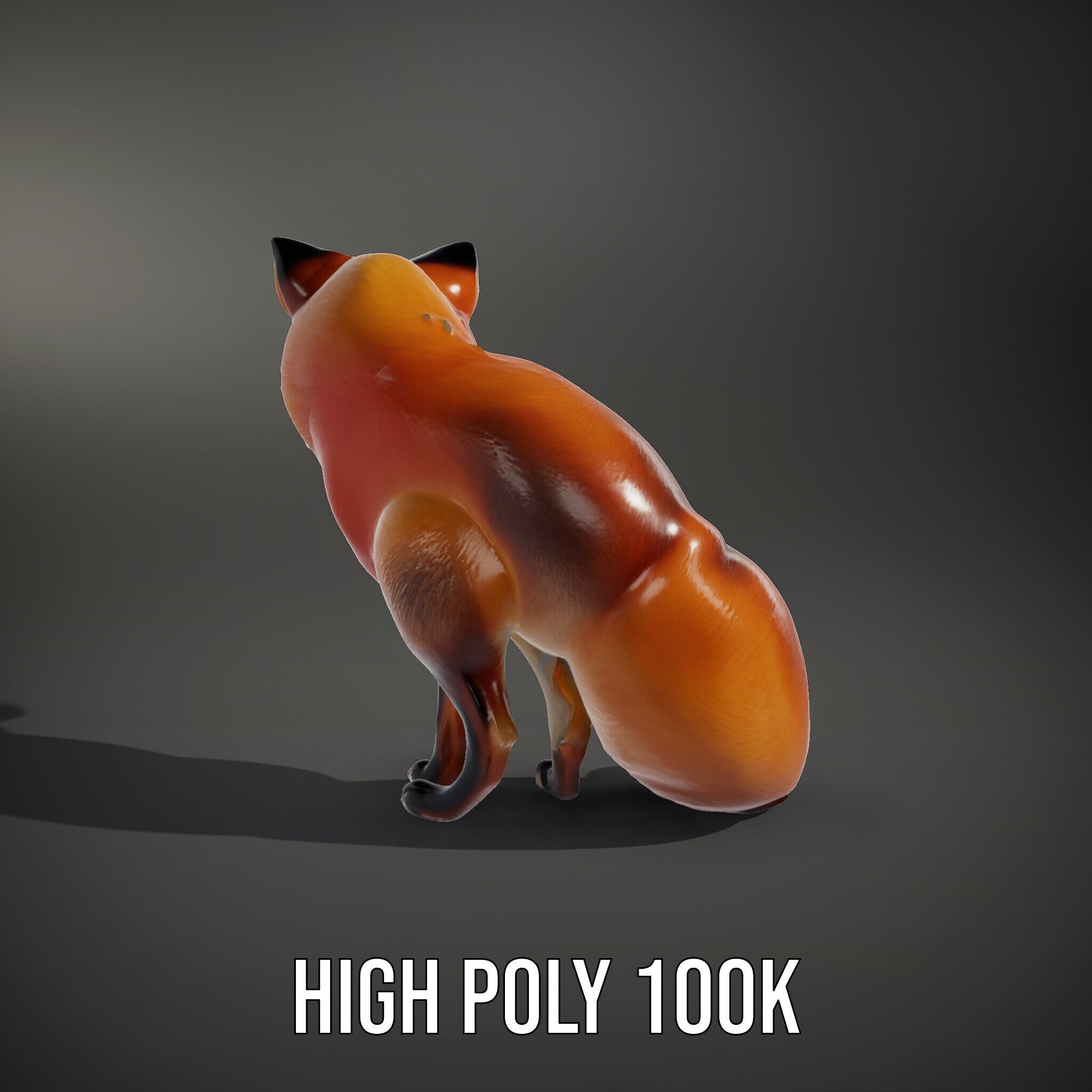 Fox Model Pack  High Detail D Animal Model Collection Low-poly 3D model_14