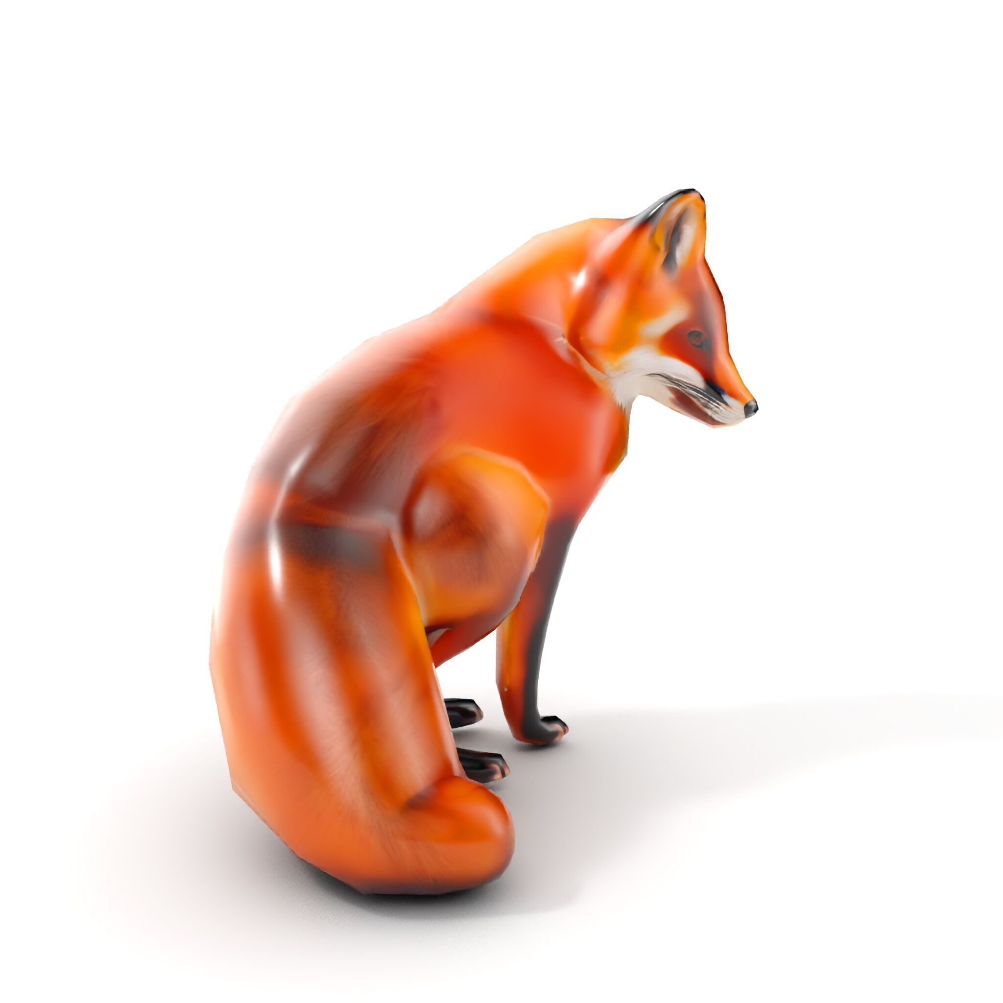 Fox Model Pack  High Detail D Animal Model Collection Low-poly 3D model_7