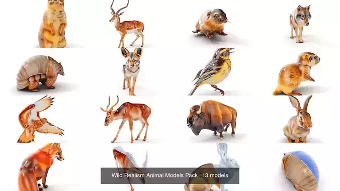 Wild Realism Animal Models Pack 3D Model Collection