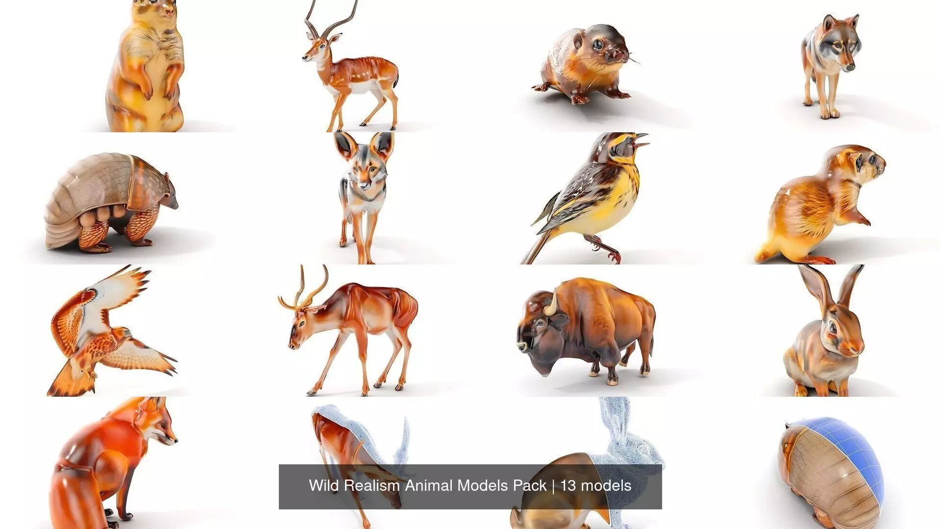 Wild Realism Animal Models Pack 3D Model Collection_0