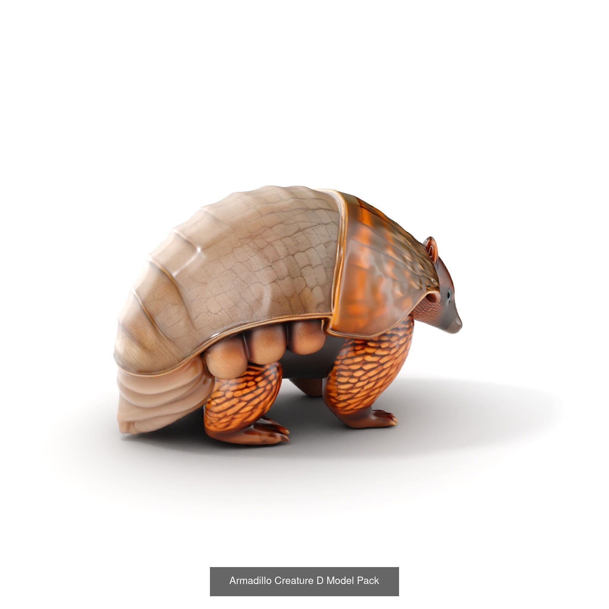 Wild Realism Animal Models Pack 3D Model Collection_28