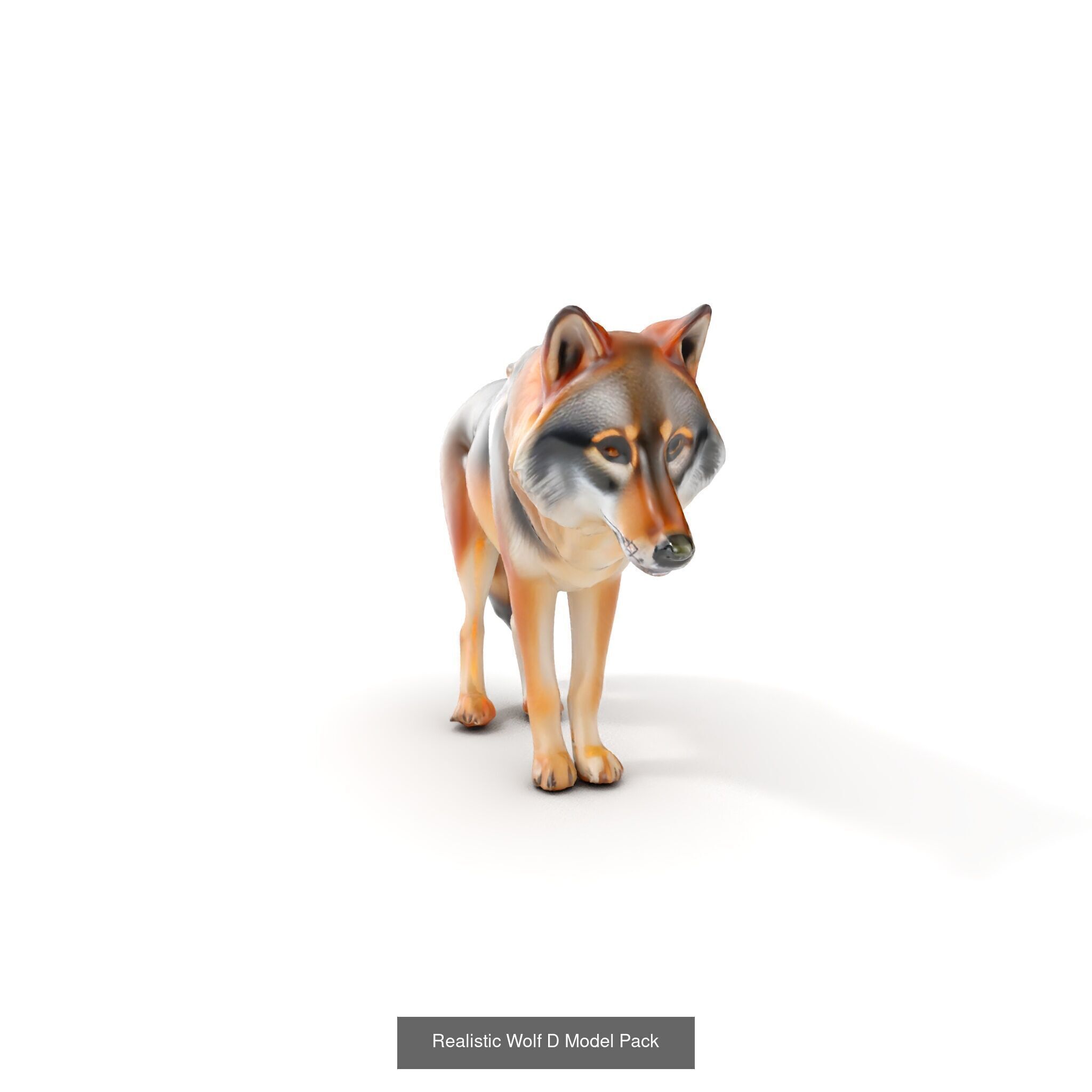 Wild Realism Animal Models Pack 3D Model Collection_27