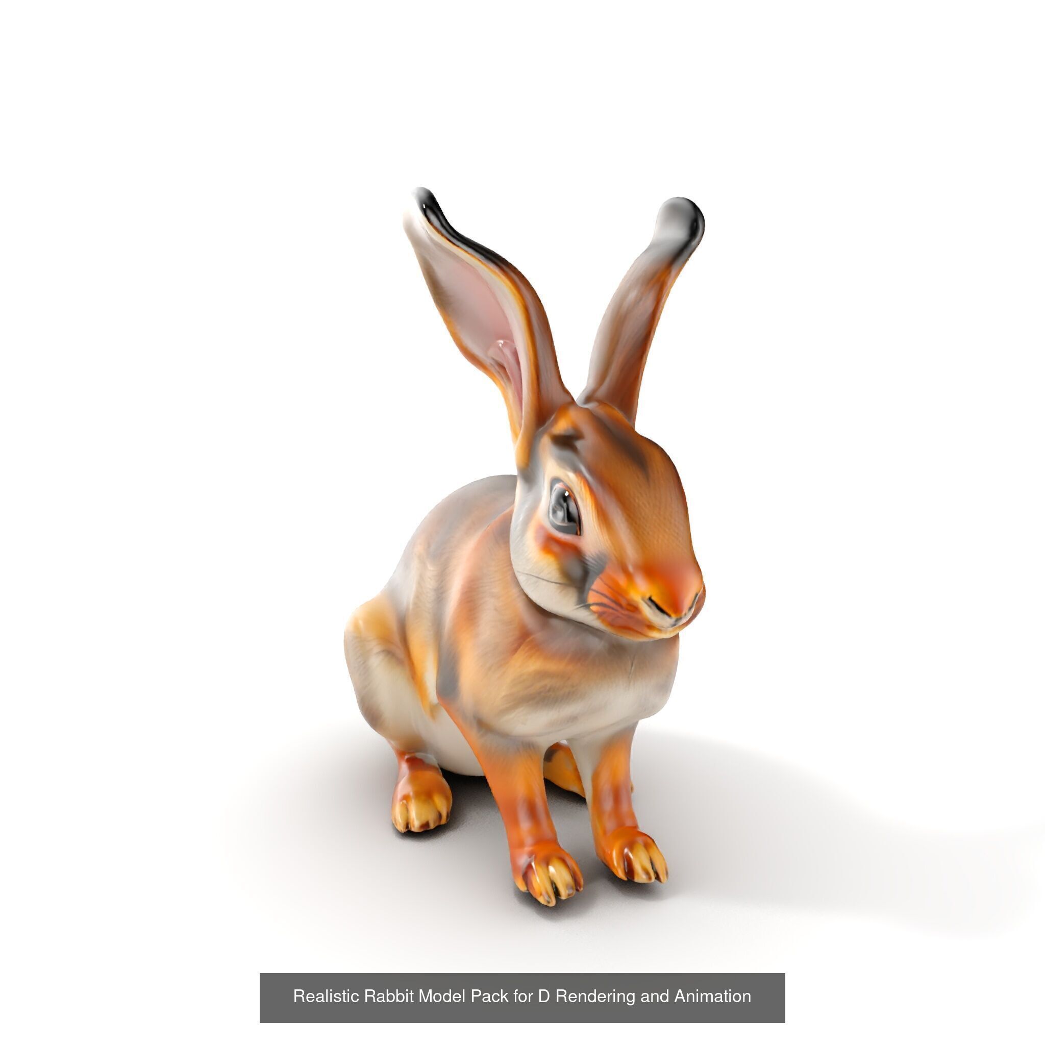 Wild Realism Animal Models Pack 3D Model Collection_35