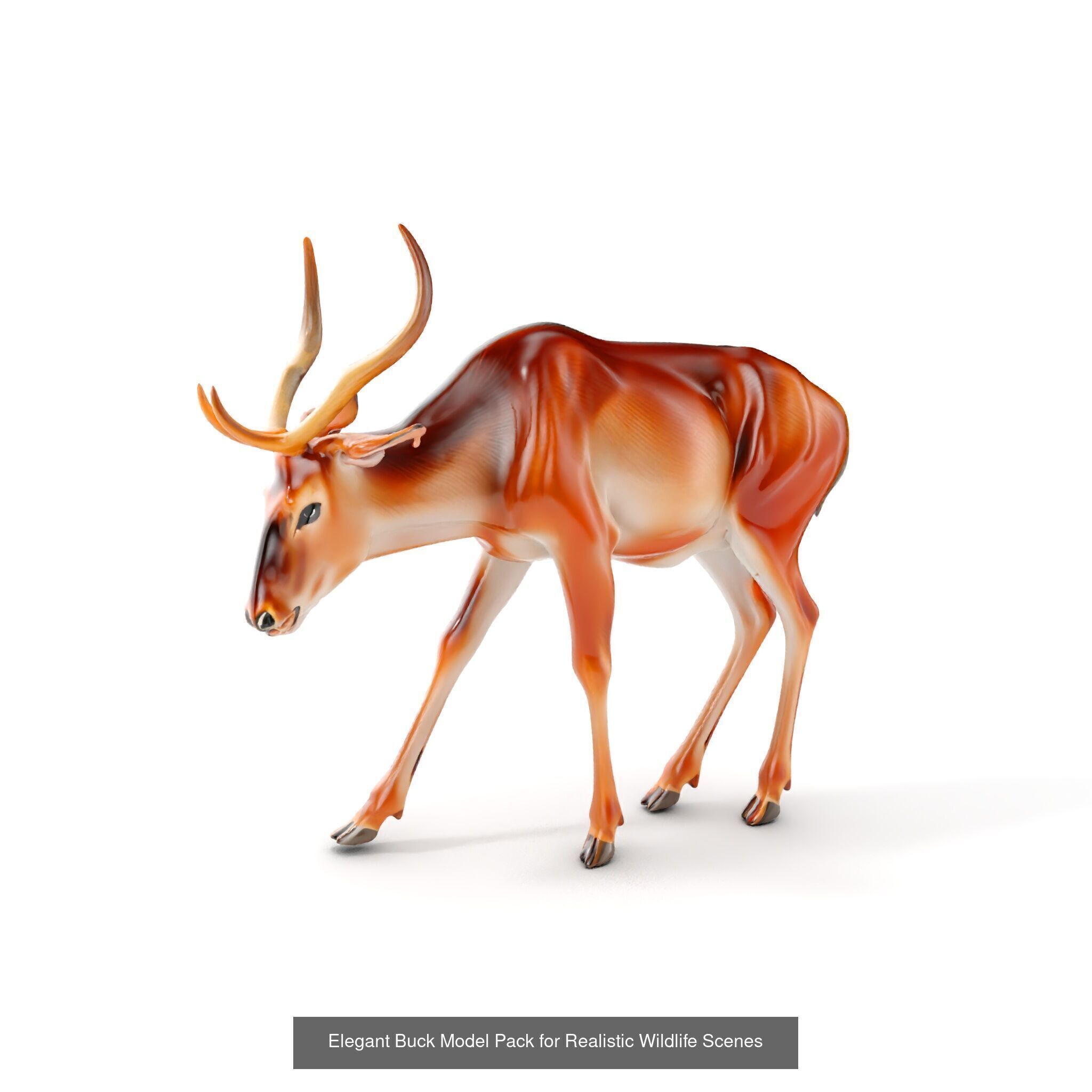 Wild Realism Animal Models Pack 3D Model Collection_33