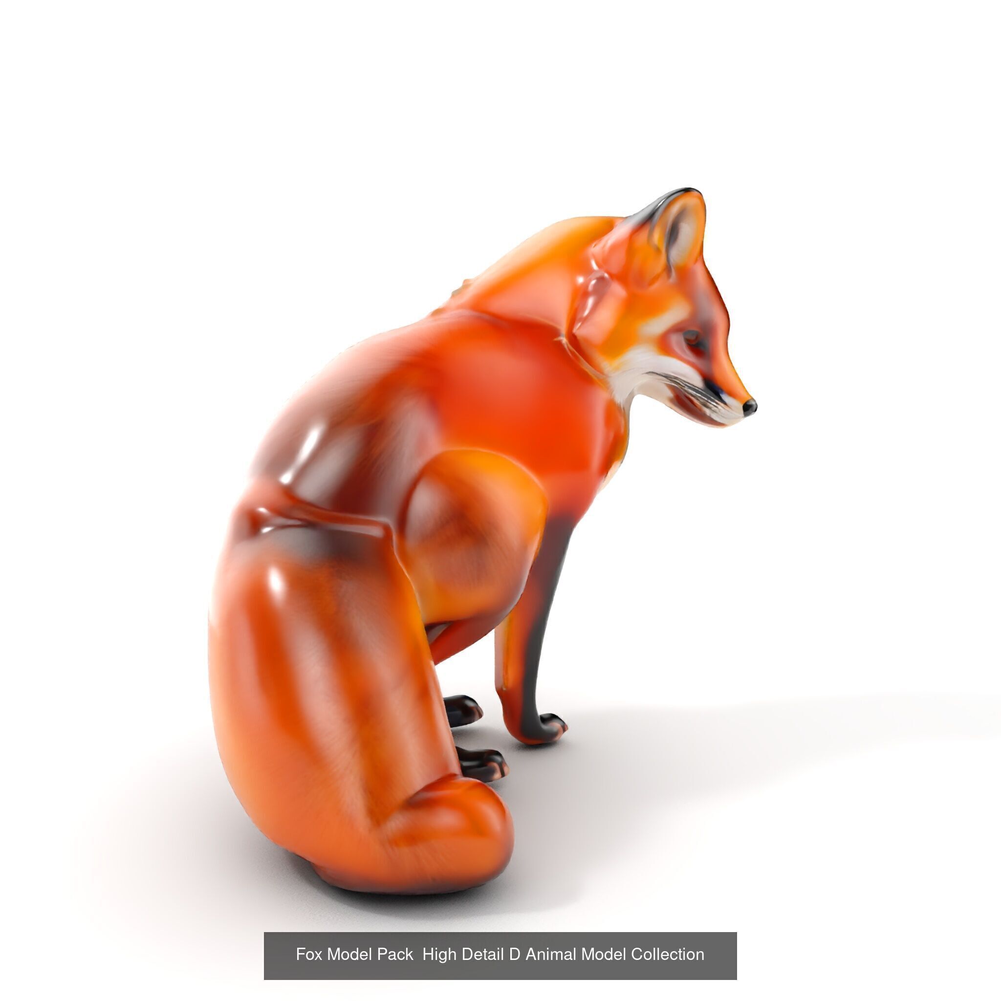 Wild Realism Animal Models Pack 3D Model Collection_36