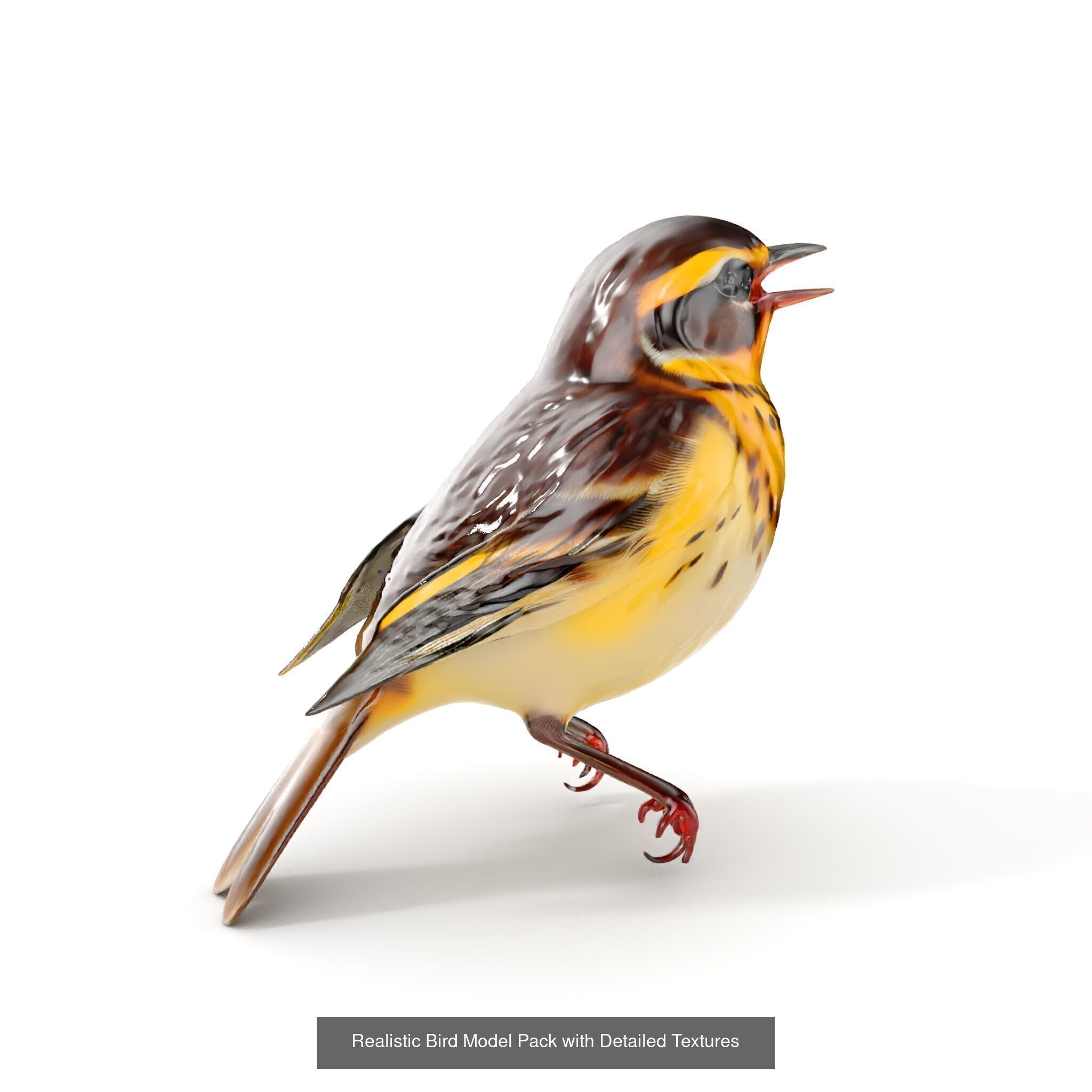 Wild Realism Animal Models Pack 3D Model Collection_30