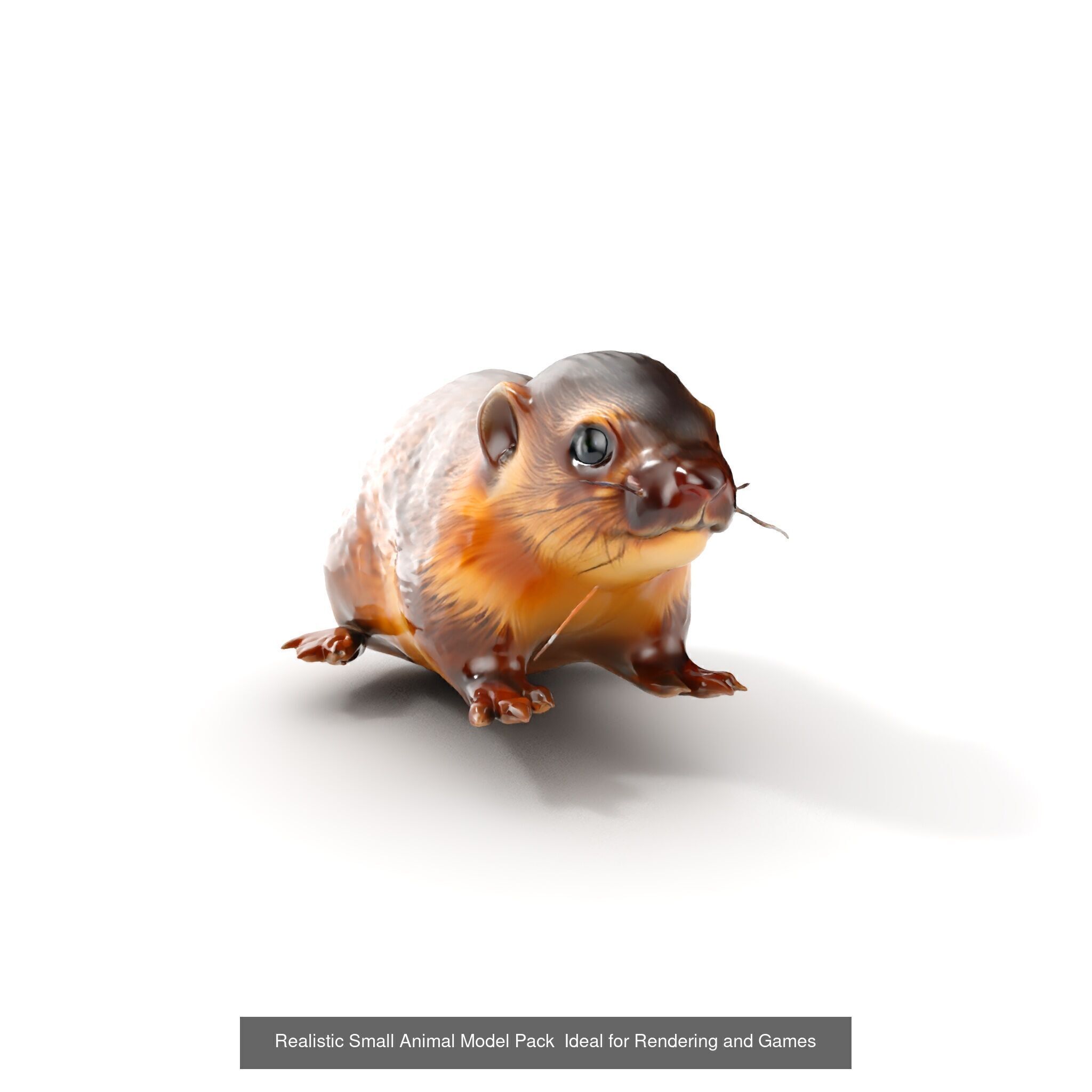 Wild Realism Animal Models Pack 3D Model Collection_26