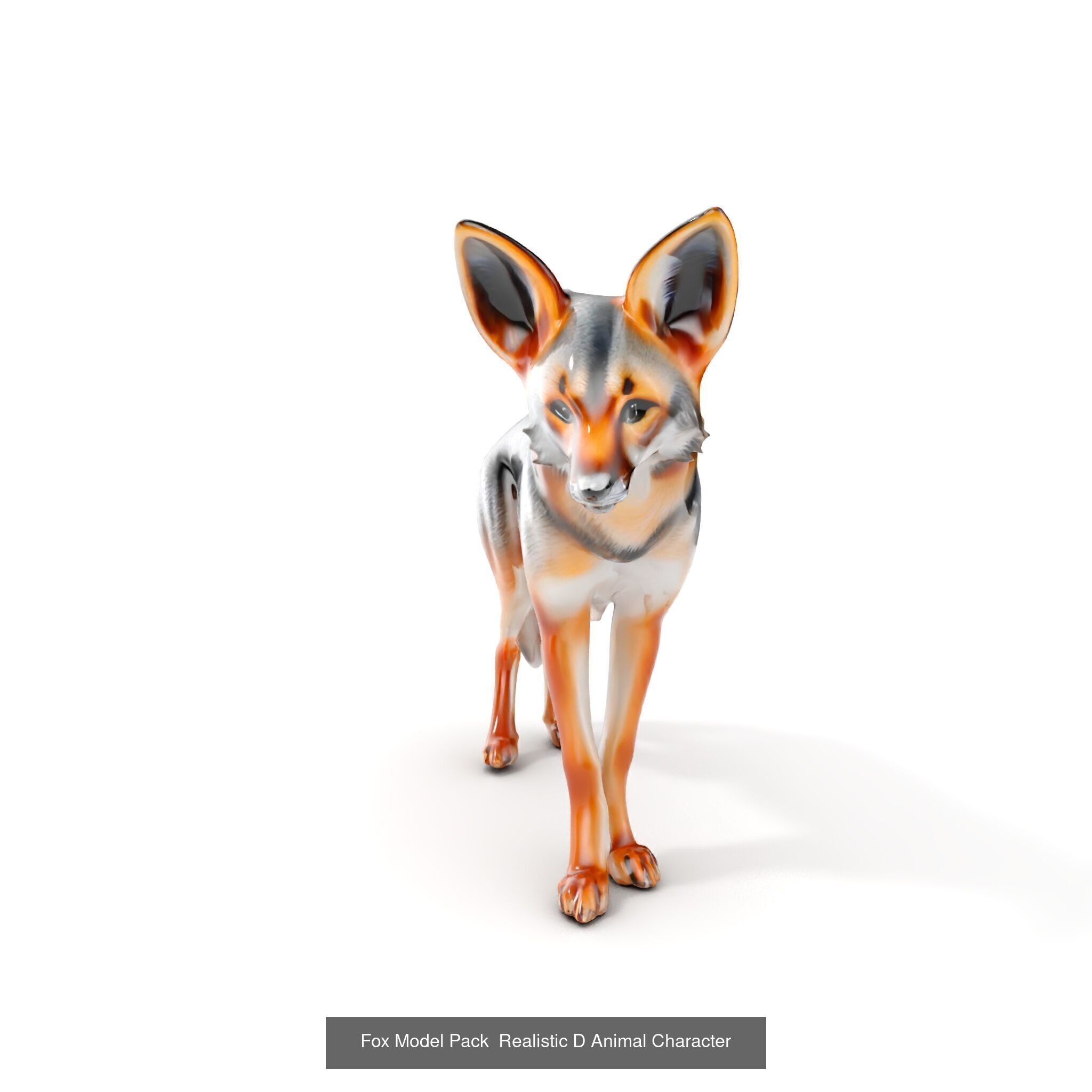 Wild Realism Animal Models Pack 3D Model Collection_29