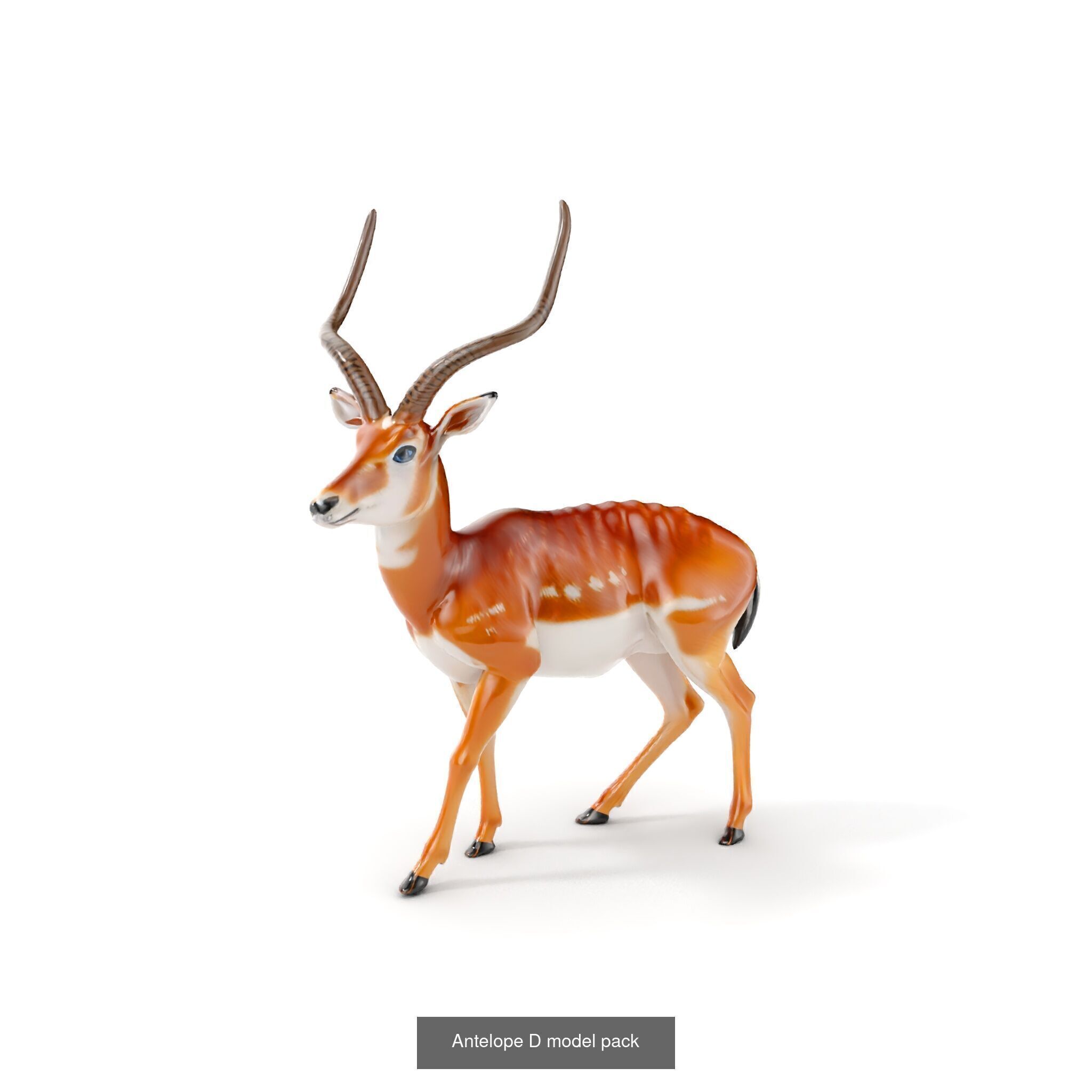 Wild Realism Animal Models Pack 3D Model Collection_25