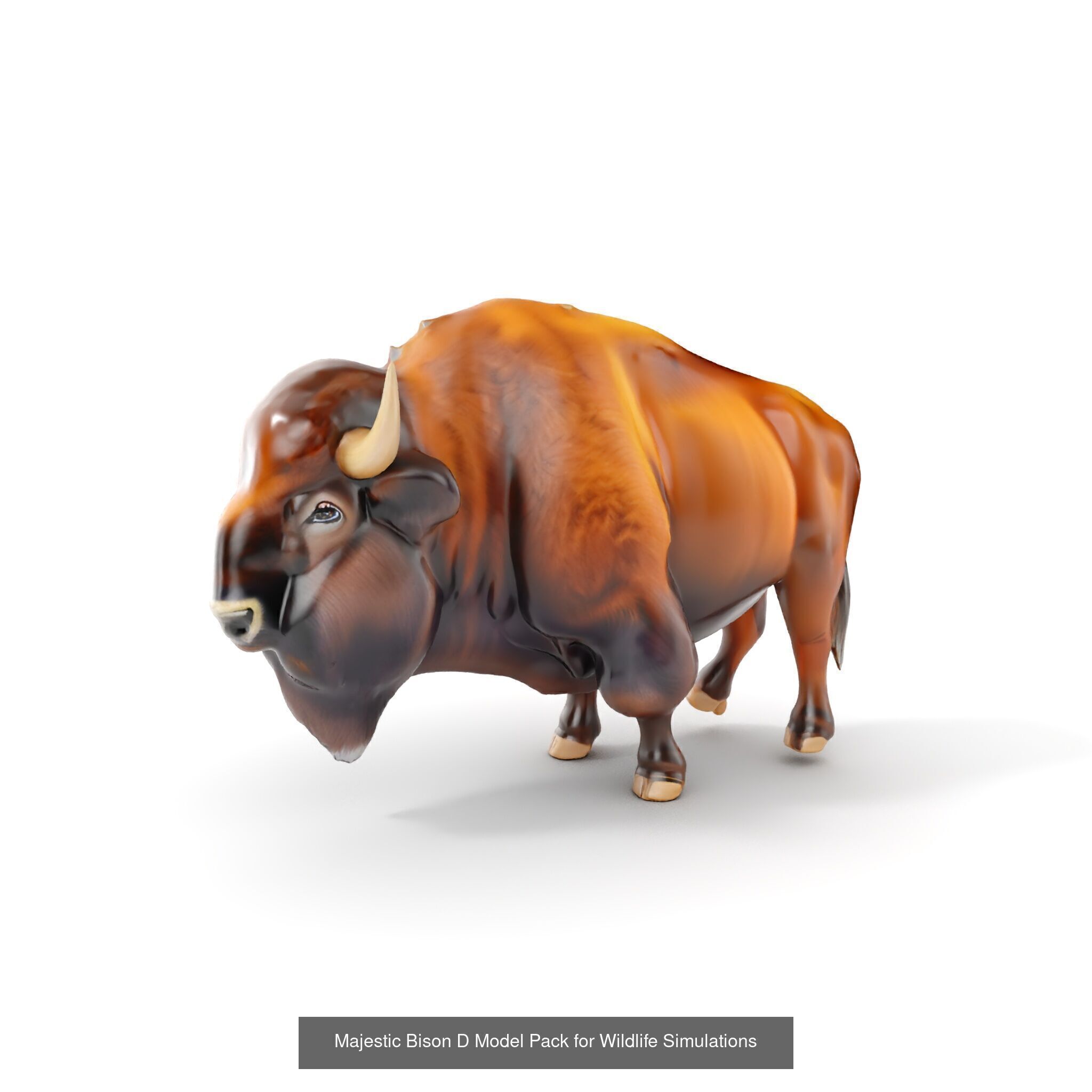 Wild Realism Animal Models Pack 3D Model Collection_34