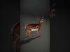 Wild Realism Animal Models Pack 3D Model Collection_4